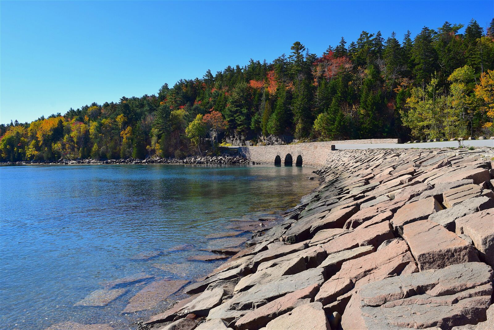 Nikon D3300 sample photo. Shore, trees, stone photography