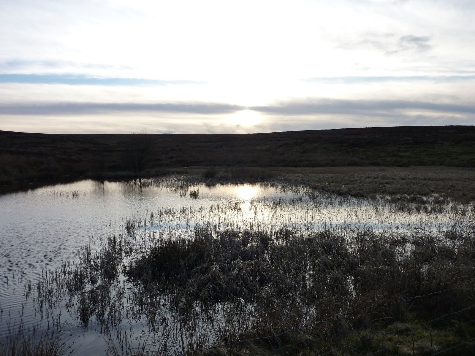 Panasonic DMC-TZ7 sample photo. Water, marsh, grey photography