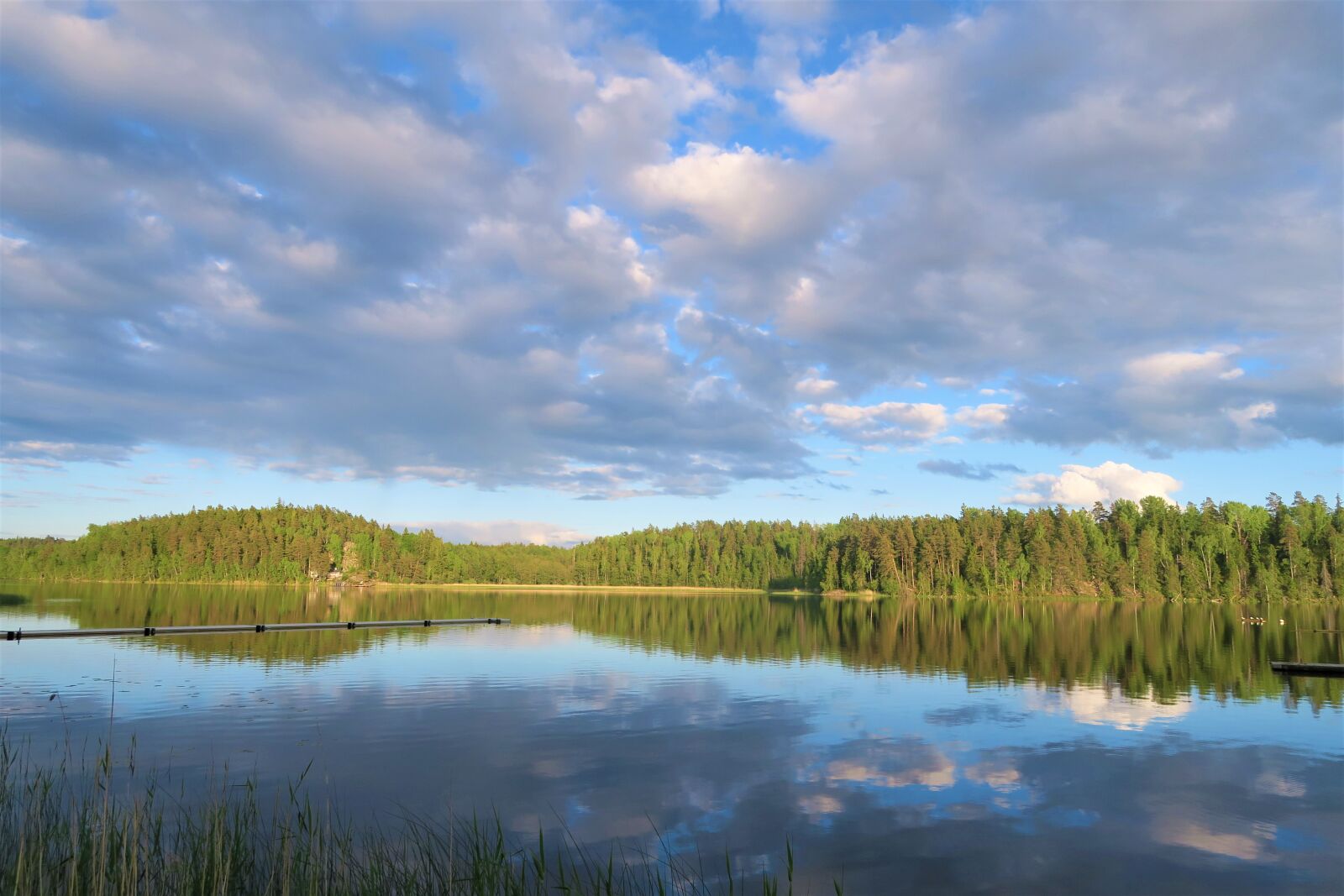 Canon PowerShot G7 X sample photo. Lake, forest, nature photography