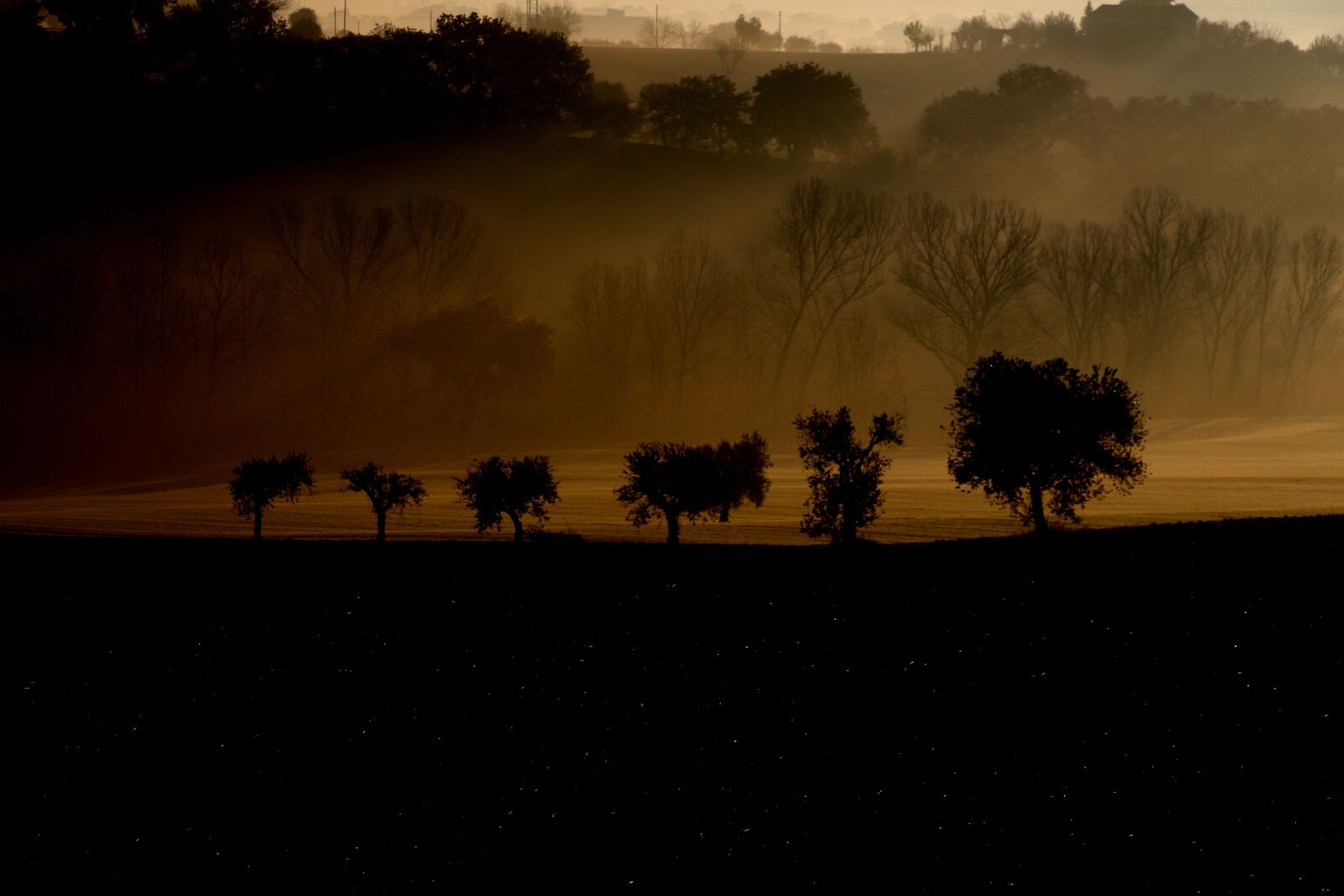 Canon EOS 100D (EOS Rebel SL1 / EOS Kiss X7) sample photo. Campaign, field, trees photography