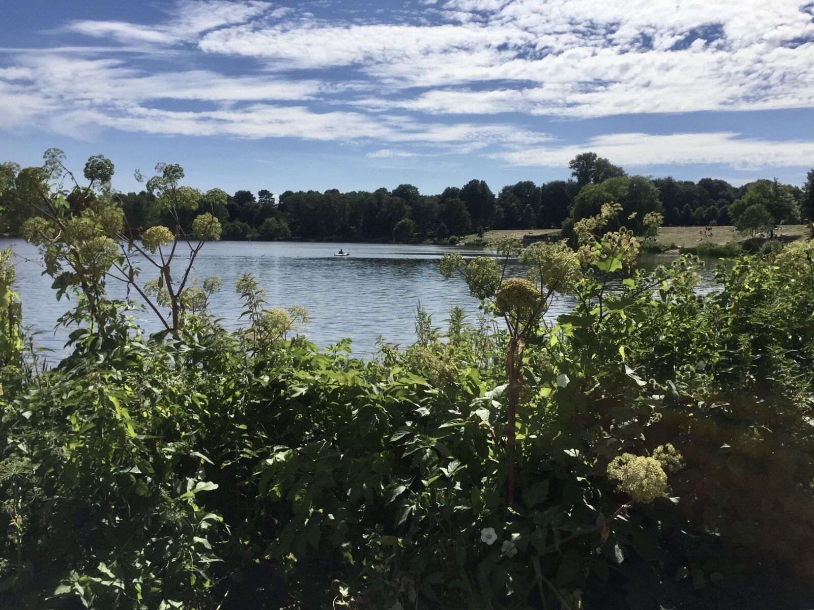 iPhone 6 back camera 4.15mm f/2.2 sample photo. Lake, stadtparksee, summer photography
