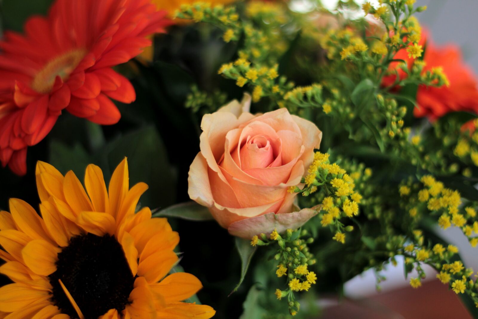 Canon EOS 600D (Rebel EOS T3i / EOS Kiss X5) + Canon EF 50mm F1.8 STM sample photo. Rose, bouquet, flowers photography