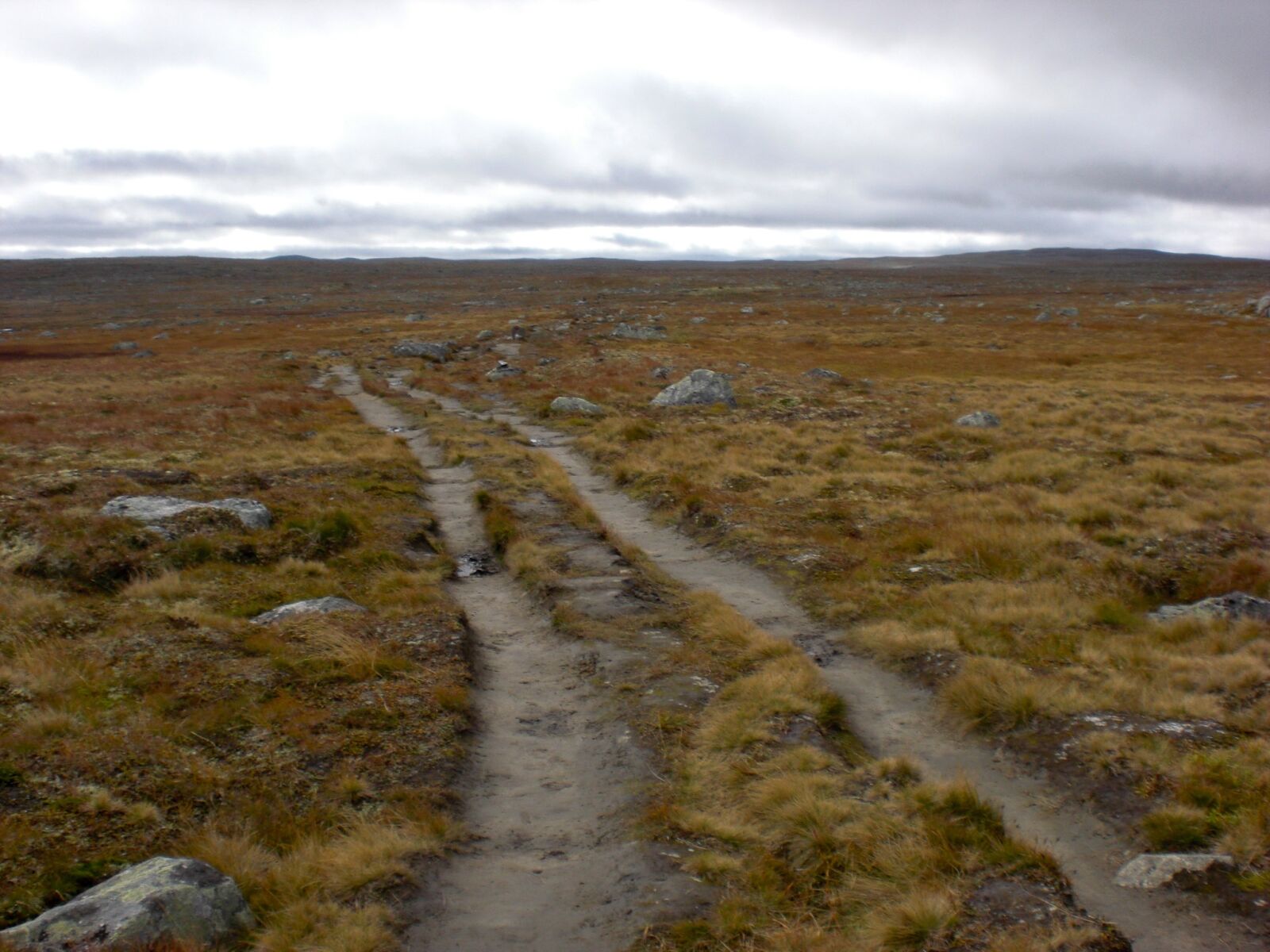 CASIO EX-Z80 sample photo. Norway, hardangervidda, scandinavia photography