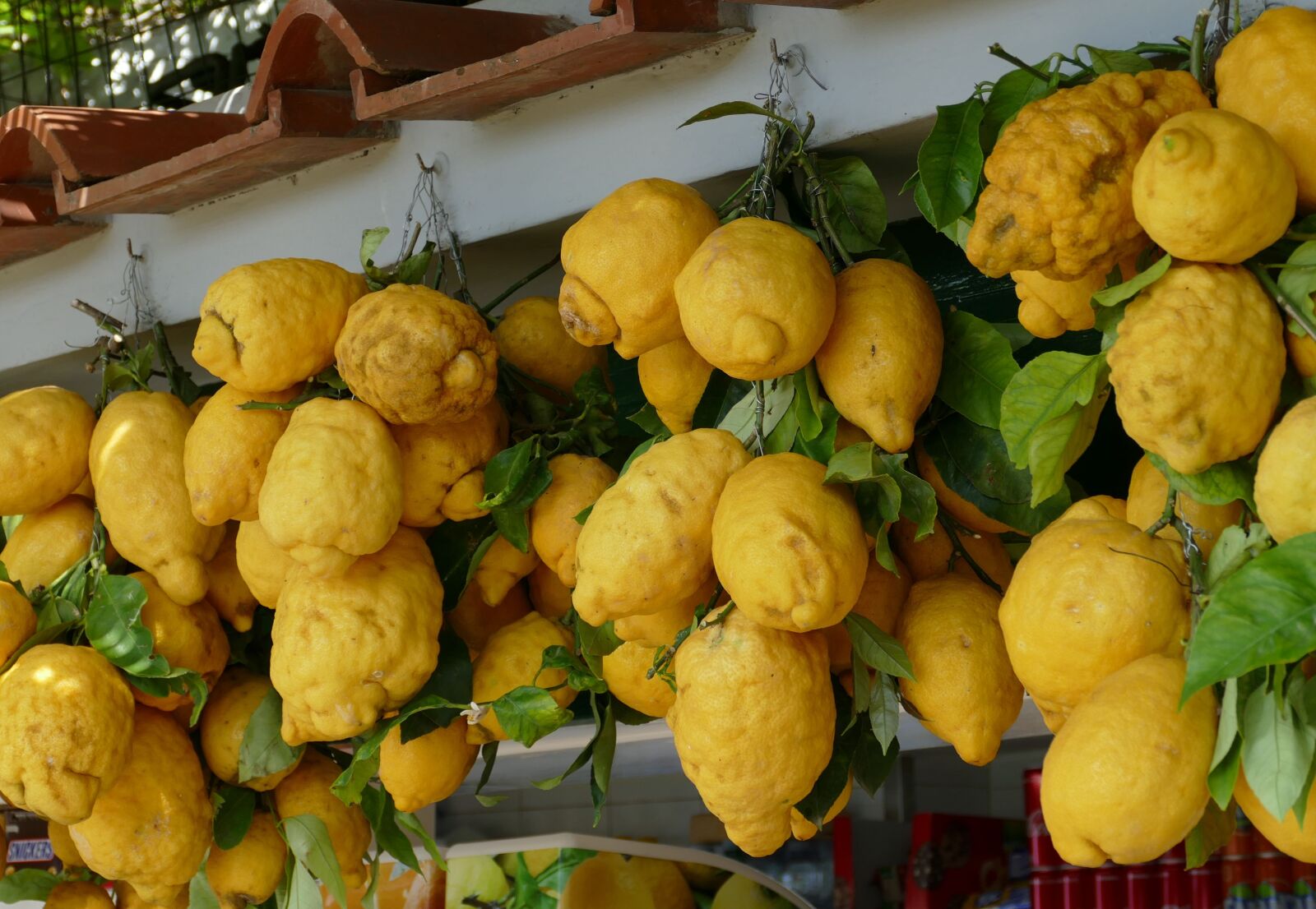Panasonic Lumix DMC-FZ1000 sample photo. Lemon, italy, mediterranean photography