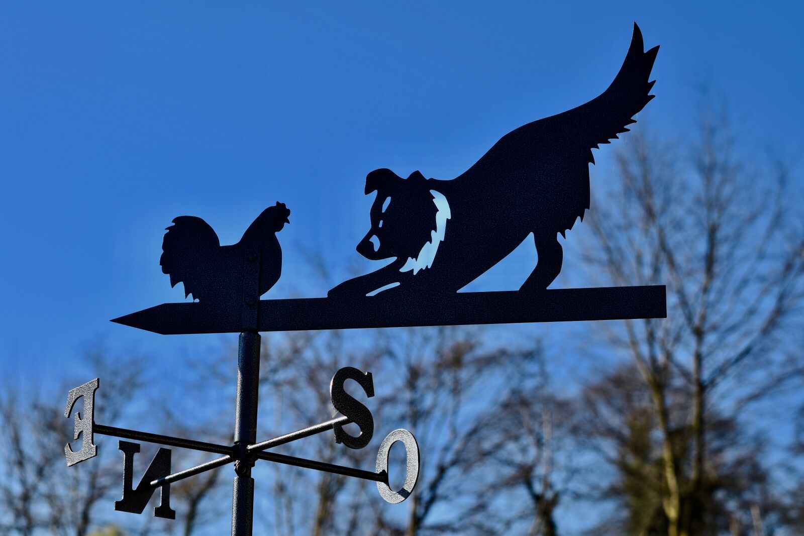 Nikon D5600 sample photo. Weather vane, vane forged photography