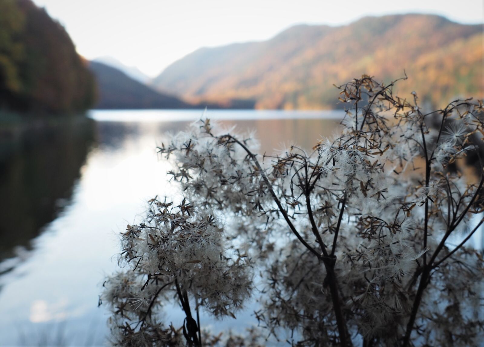 Olympus OM-D E-M10 sample photo. Lake, mountain, sweetness photography