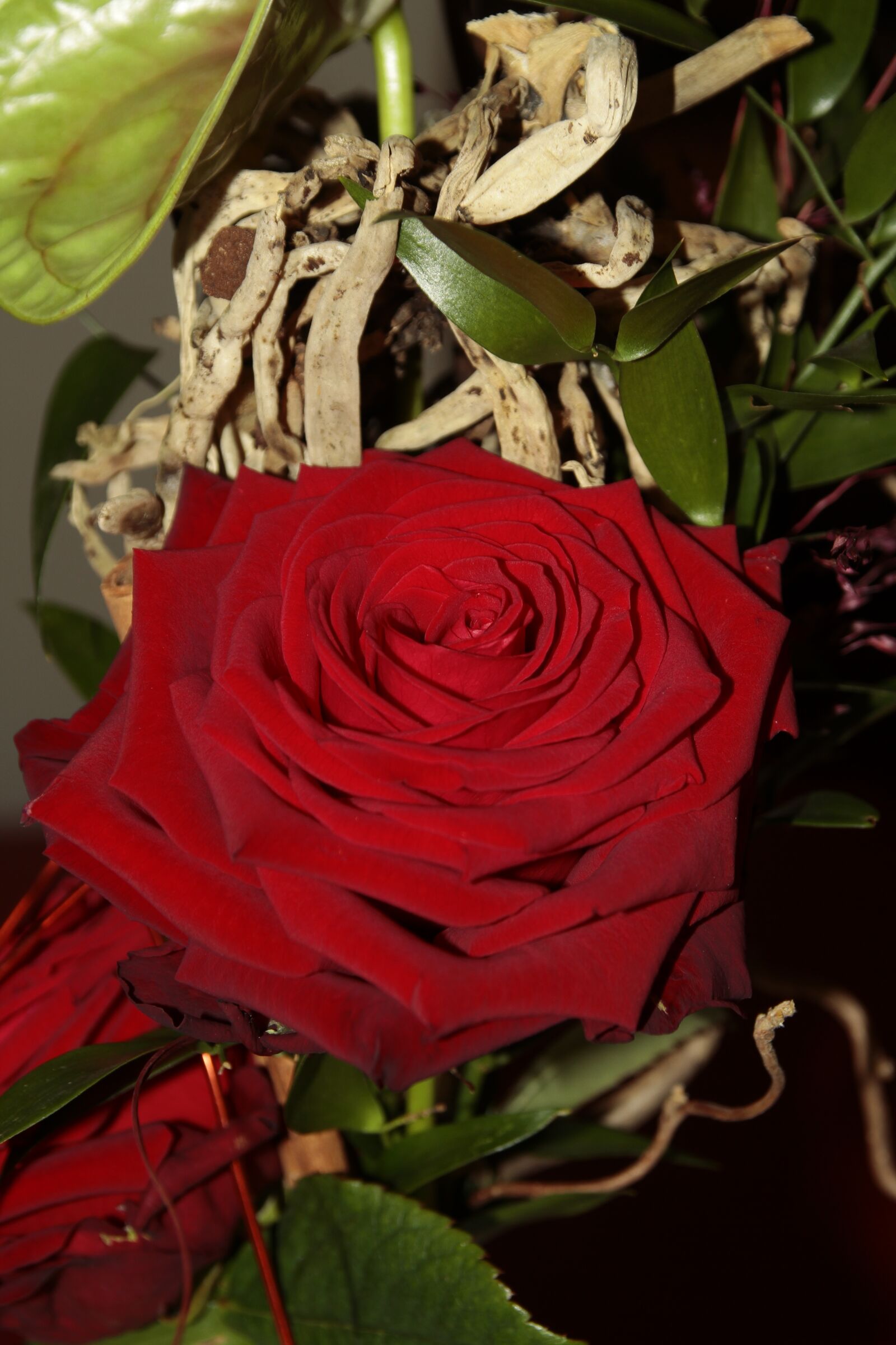 Canon EOS 7D sample photo. Rose, blossom, bloom photography