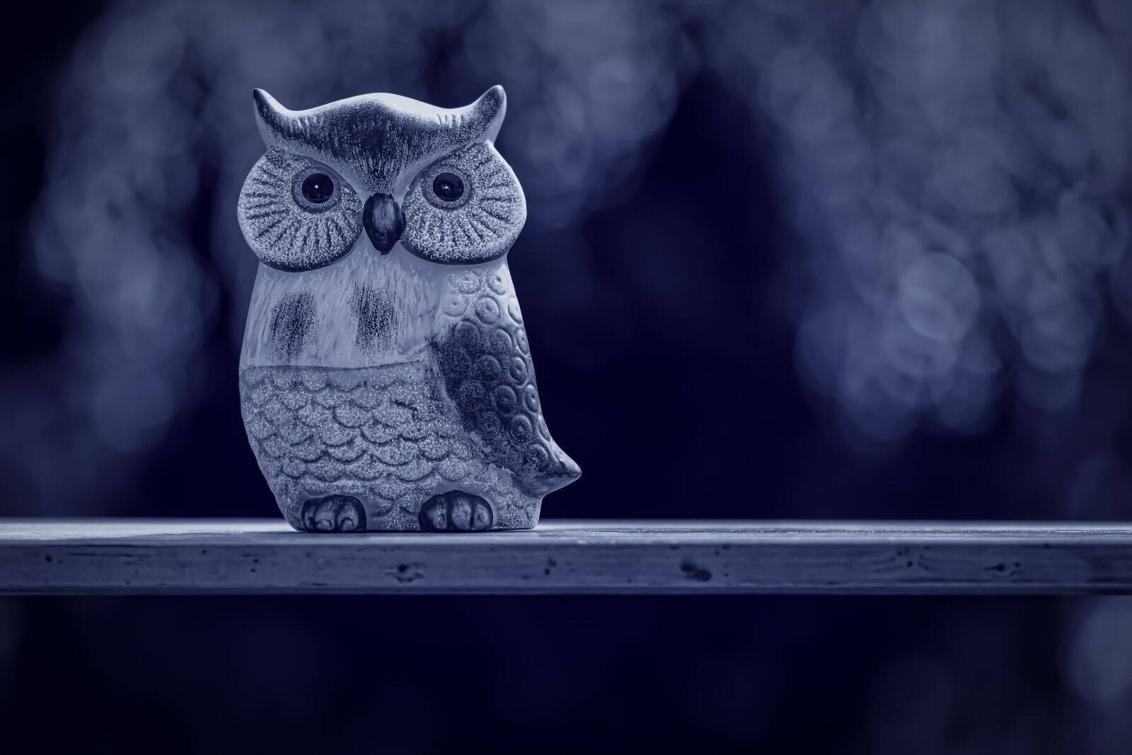Nikon D7200 sample photo. Owl, forest, figure photography