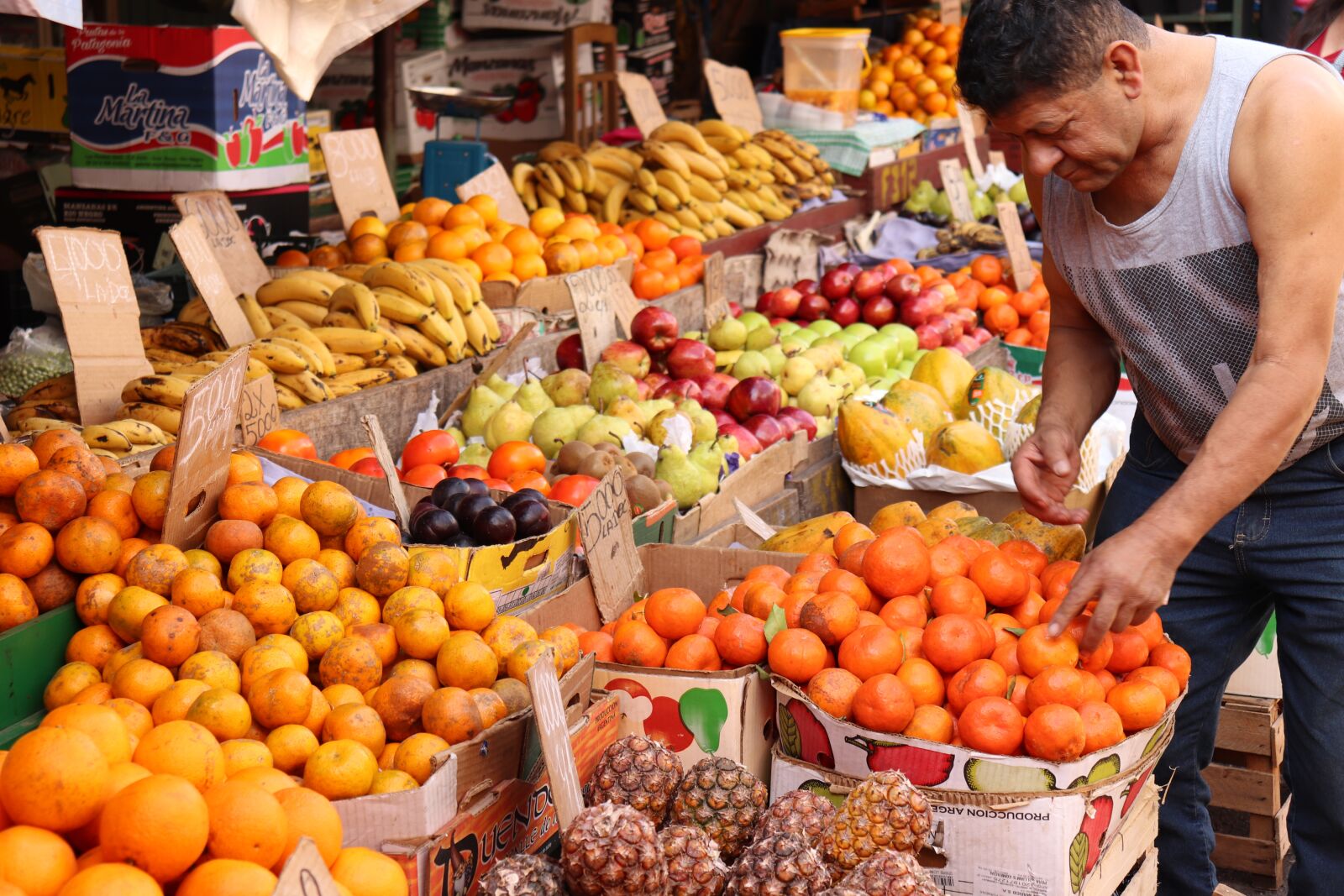 Canon EOS 200D (EOS Rebel SL2 / EOS Kiss X9) sample photo. Fruit, market, man photography
