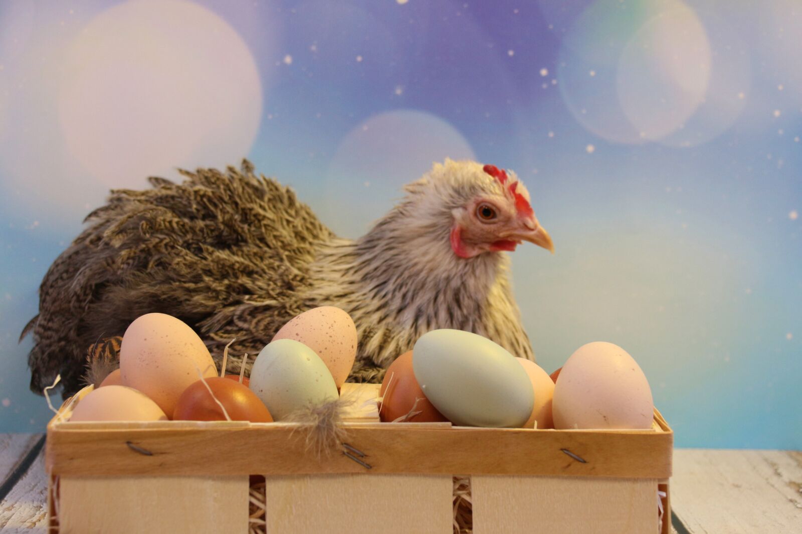 Canon EOS 700D (EOS Rebel T5i / EOS Kiss X7i) sample photo. Easter, egg, easter eggs photography
