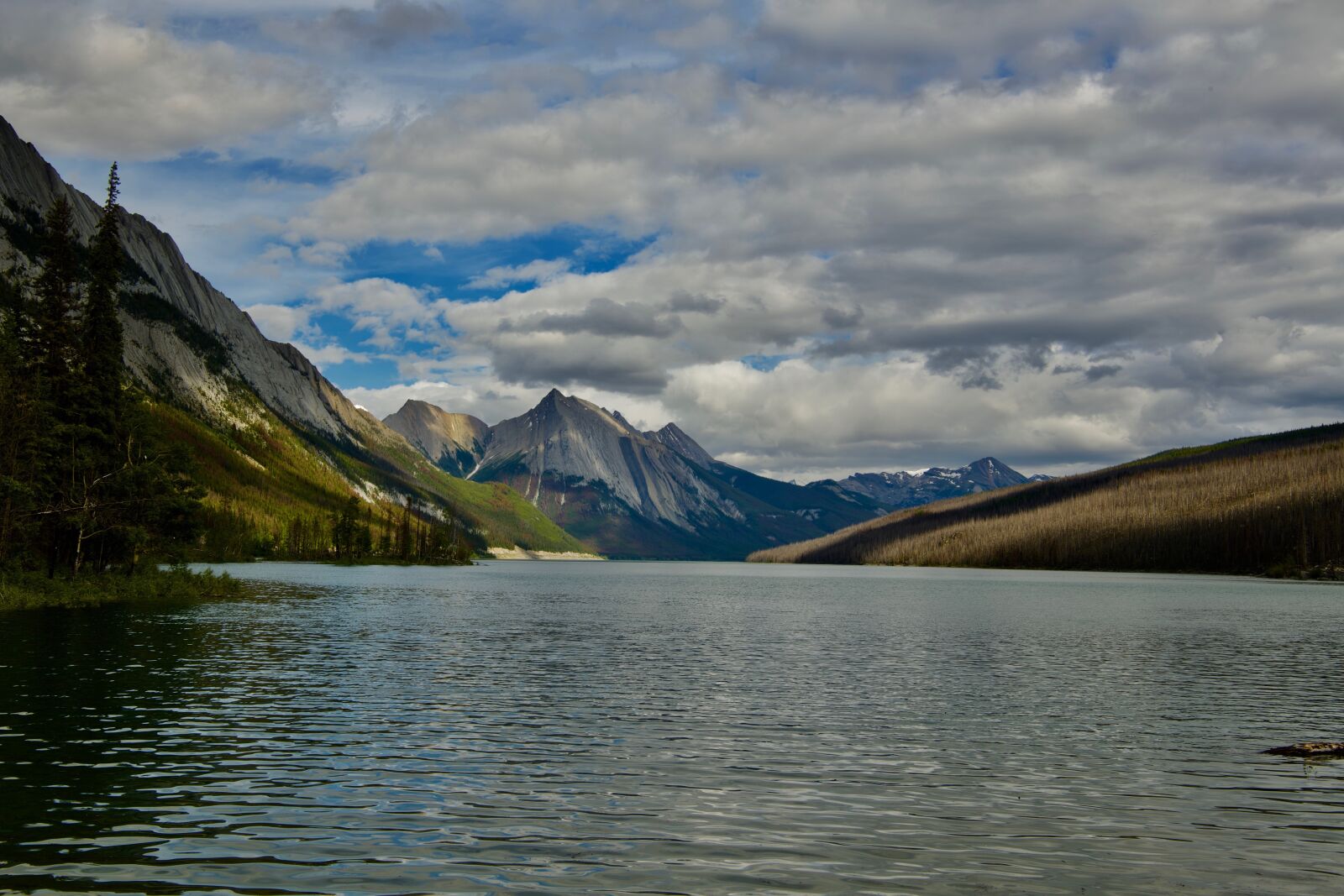 Nikon D5 sample photo. Medicine lake, water, nature photography