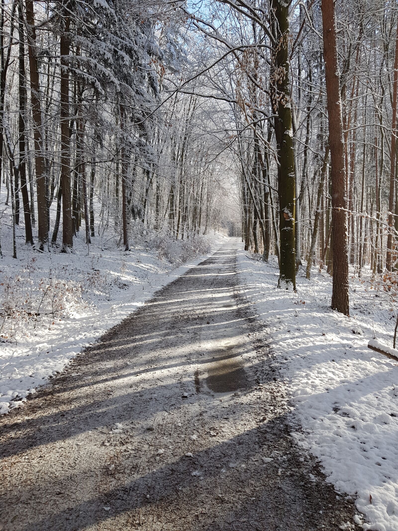 Samsung Galaxy S8 sample photo. Winter, snow, nature photography
