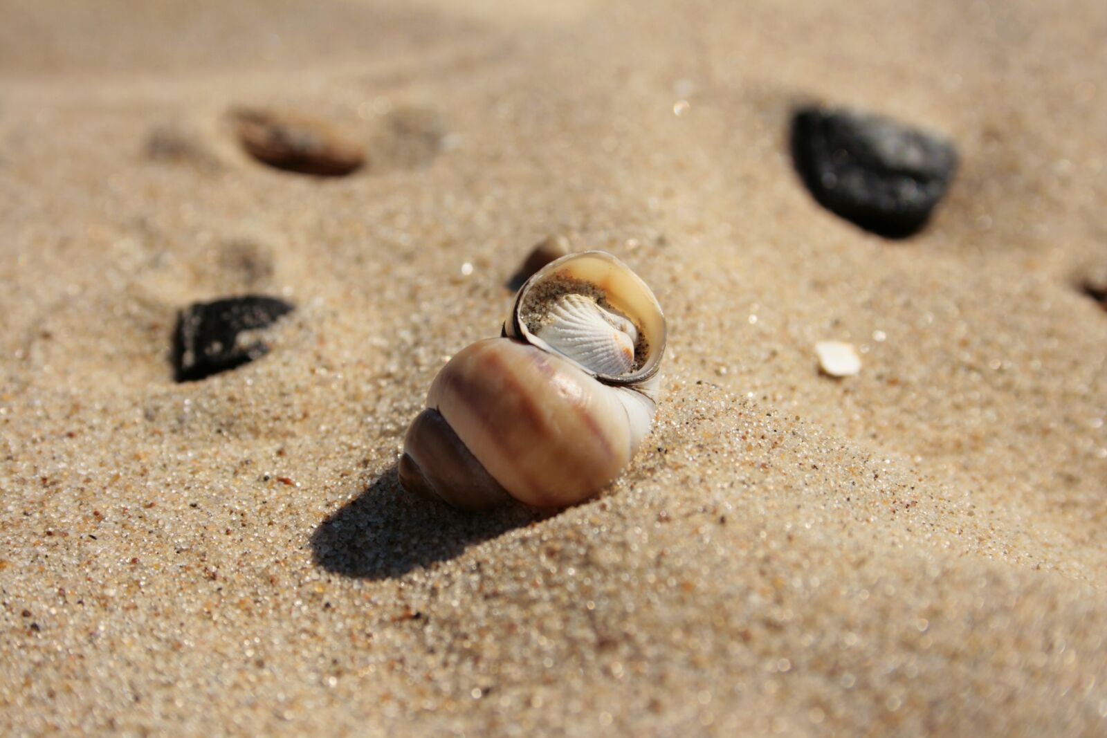 Canon EOS 400D (EOS Digital Rebel XTi / EOS Kiss Digital X) sample photo. Sand, beach, the coast photography