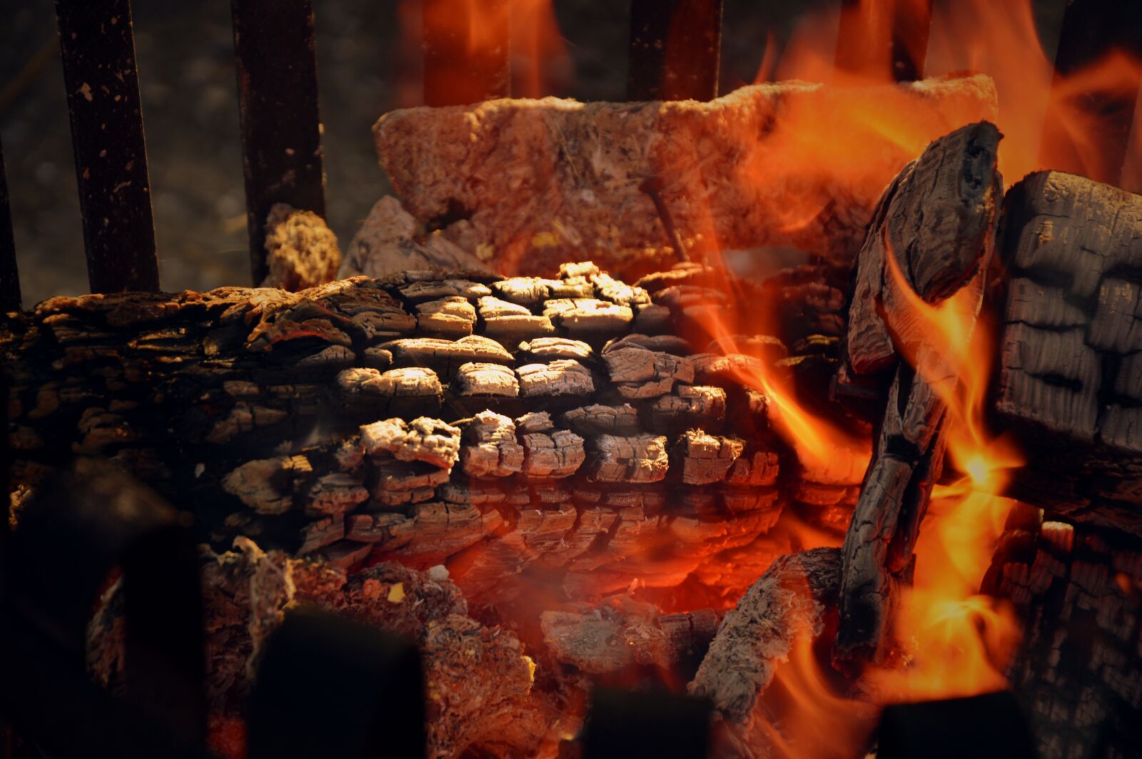 Nikon D3200 sample photo. Fire, wood, fire bowl photography