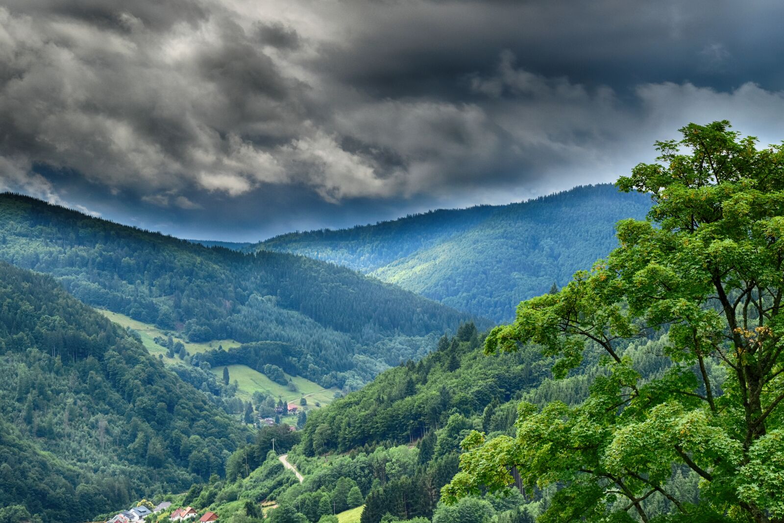 Nikon D5500 sample photo. Storm, forest, mountains photography
