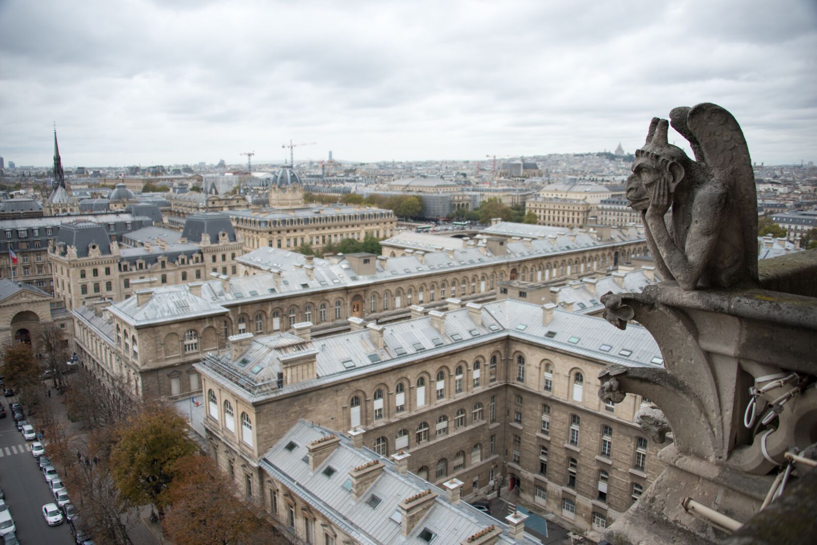 Nikon D800 sample photo. Paris, gargoyle, france photography