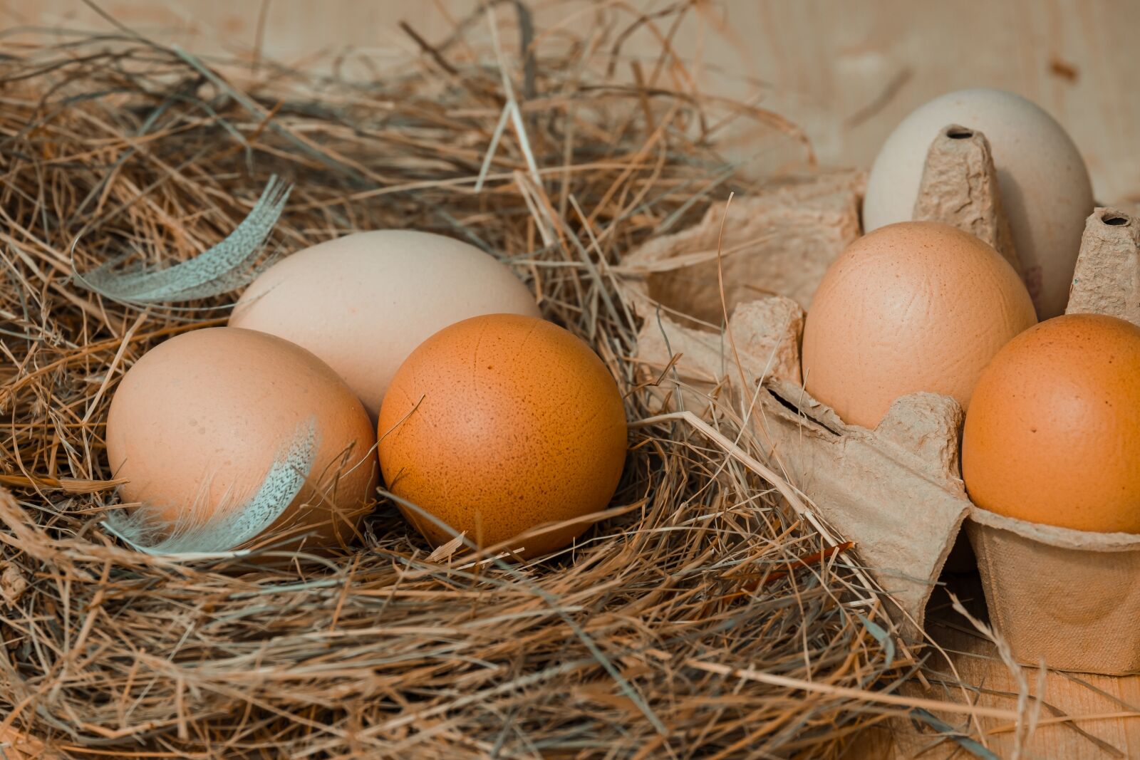 Fujifilm XF 55-200mm F3.5-4.8 R LM OIS sample photo. Chicken eggs, hay, chicken photography