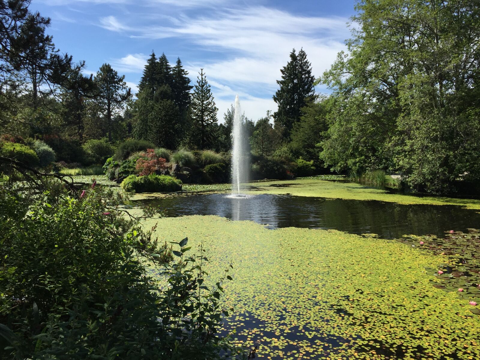 Apple iPhone 6 sample photo. Vancouver, canada, british columbia photography