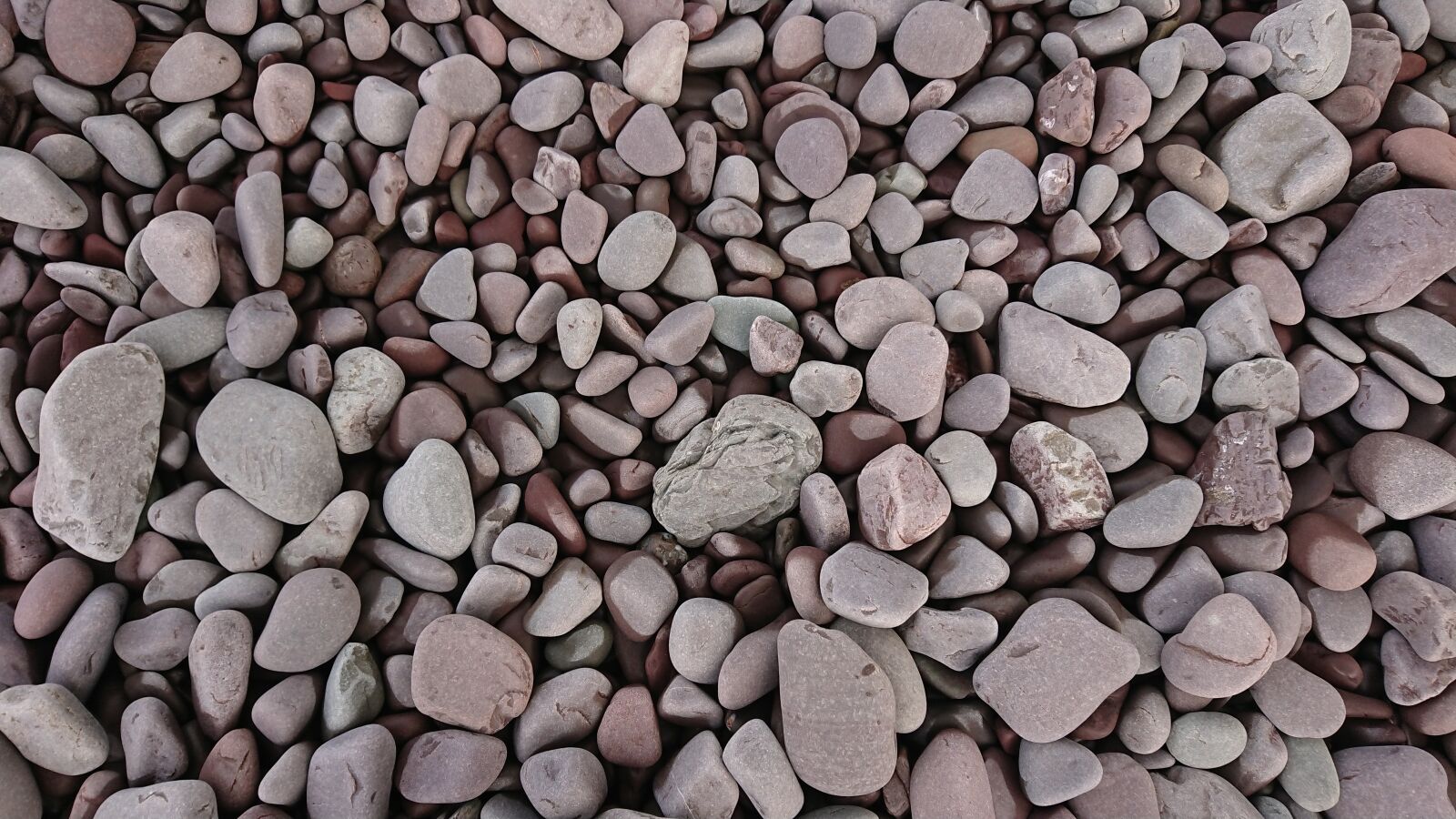 Sony Xperia XZ1 Compact sample photo. Pebbles, beach, stones photography