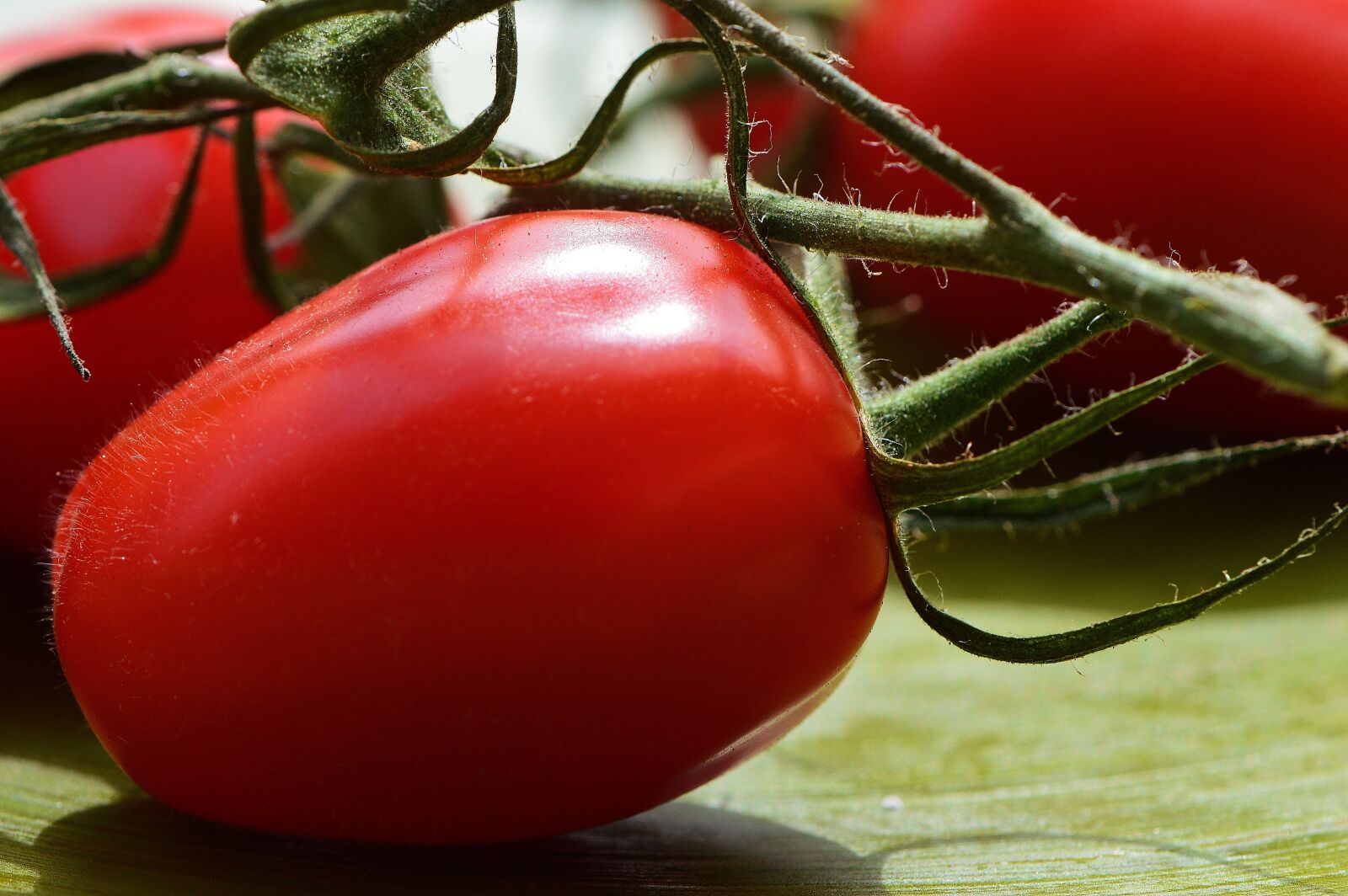 Nikon D3200 sample photo. Tomatoes, vegetables, macro photography
