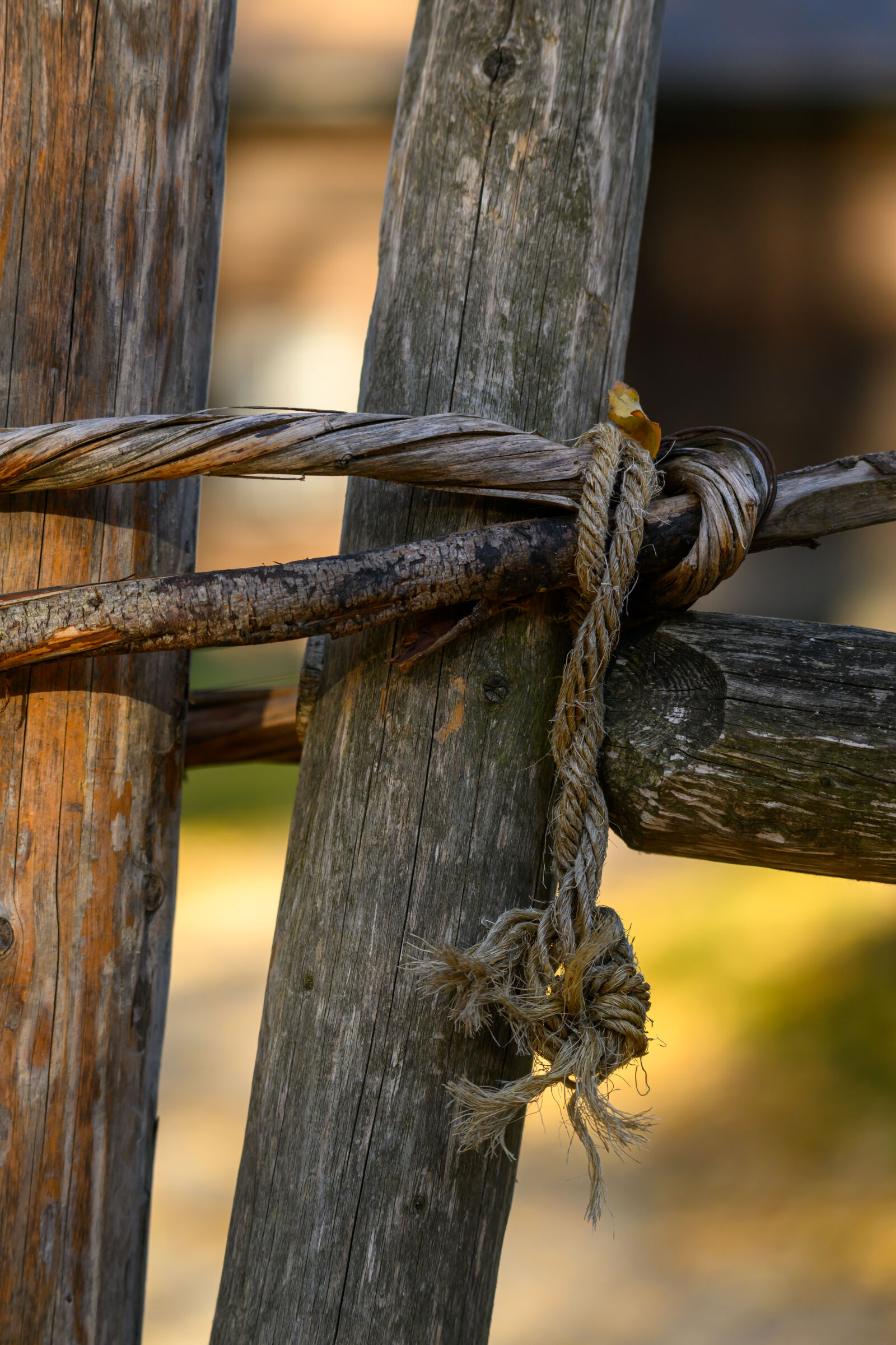 Tamron 150-500mm F5-6.7 Di III VC VXD sample photo. Fence bokeh photography