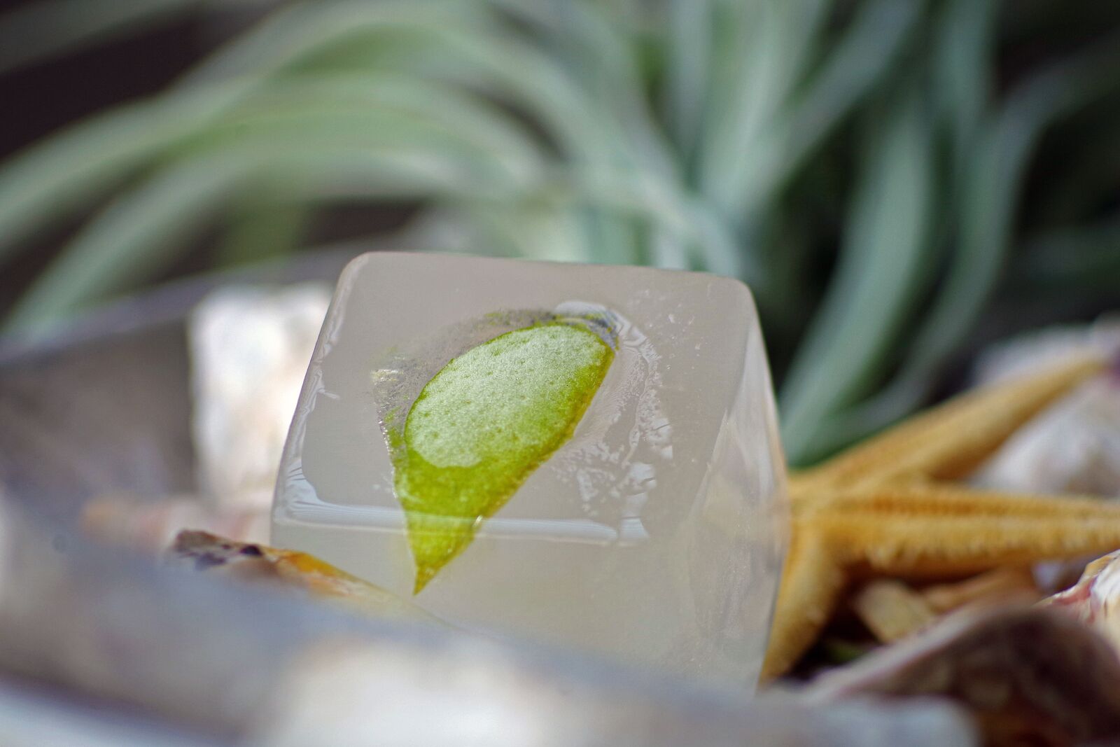 Pentax K-S2 sample photo. Lime, ice, refreshment photography