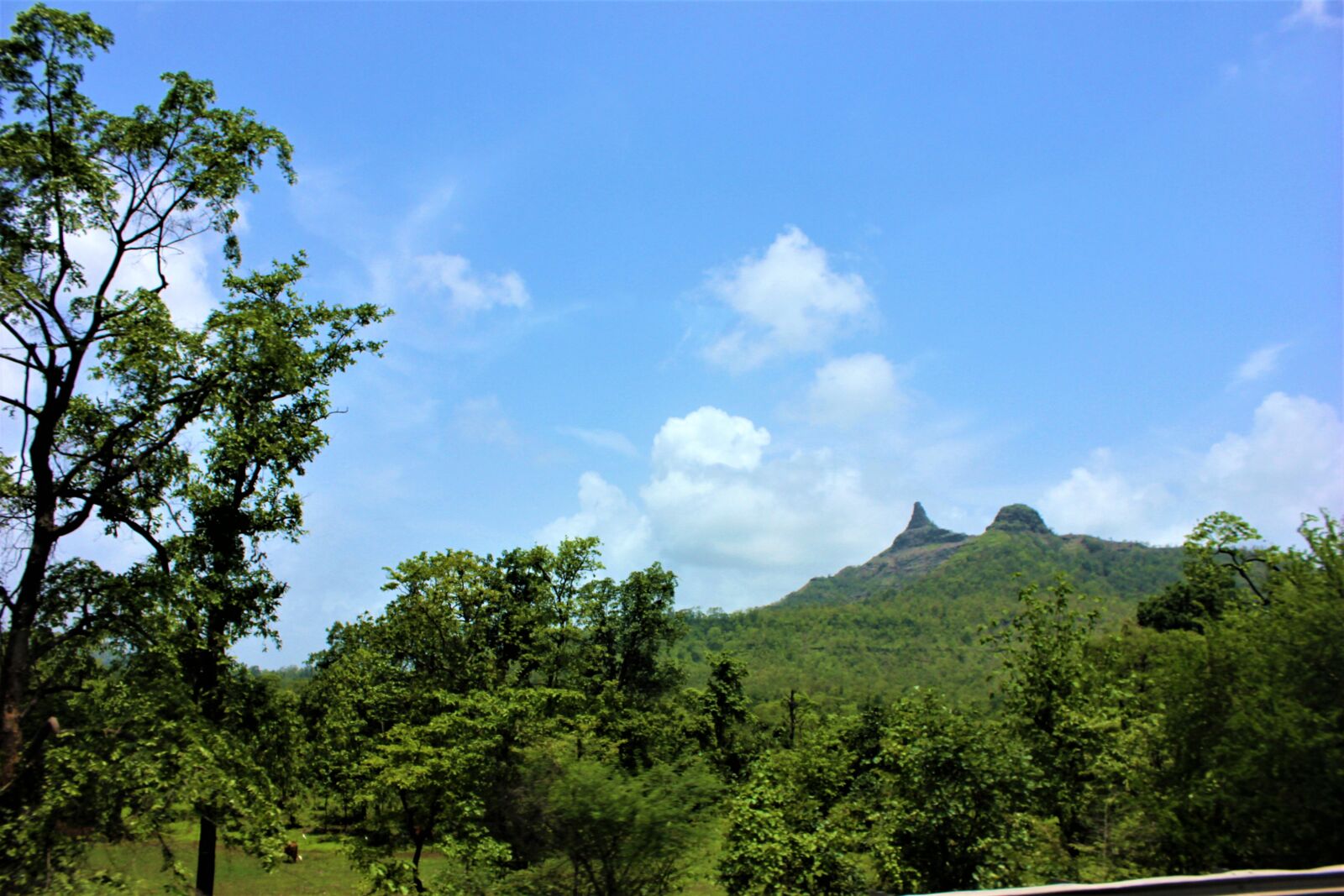 Canon EOS 600D (Rebel EOS T3i / EOS Kiss X5) sample photo. Aerial, view, mothernature, natural photography