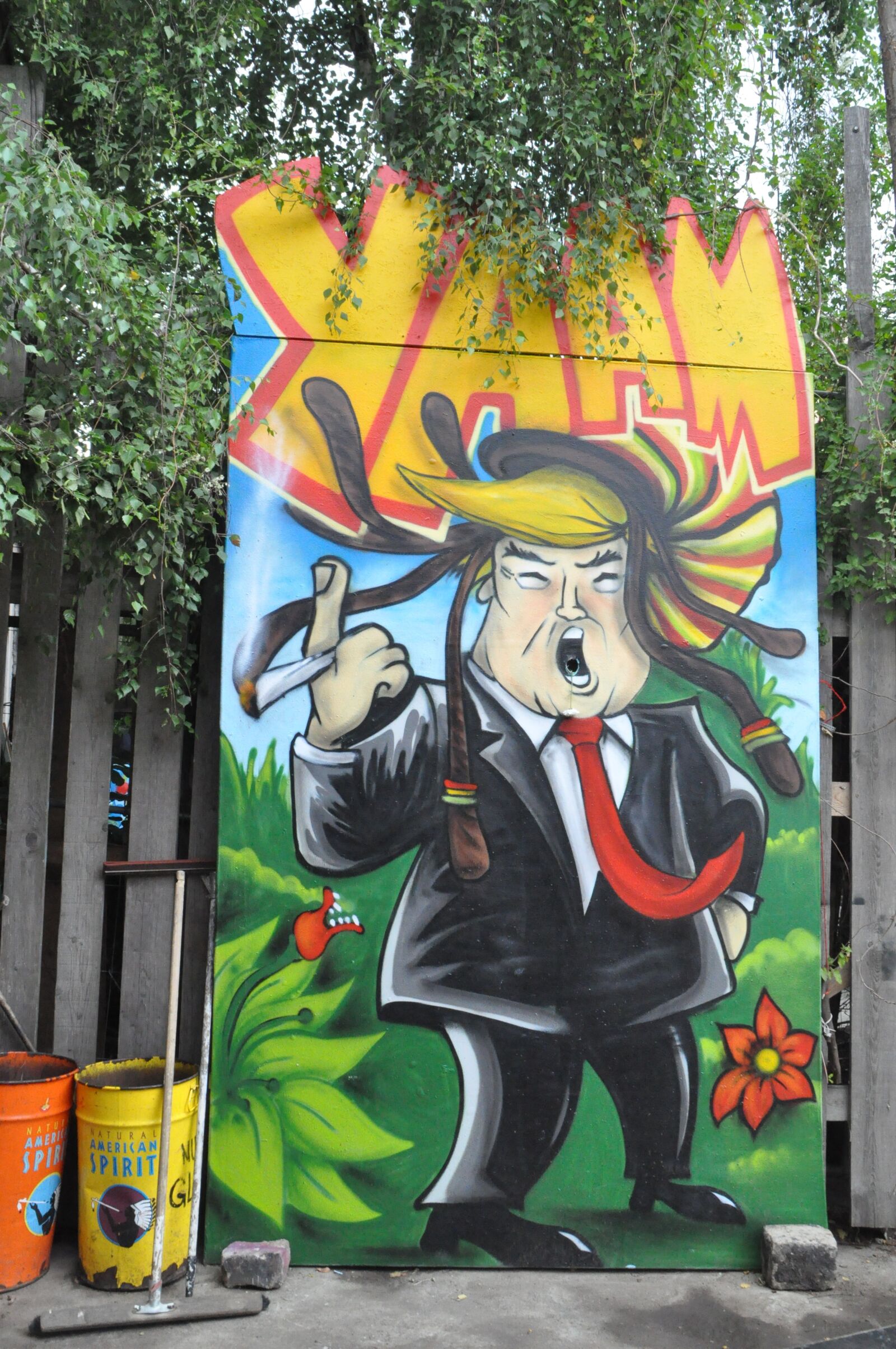Nikon D5000 sample photo. Trump, berlin, street art photography