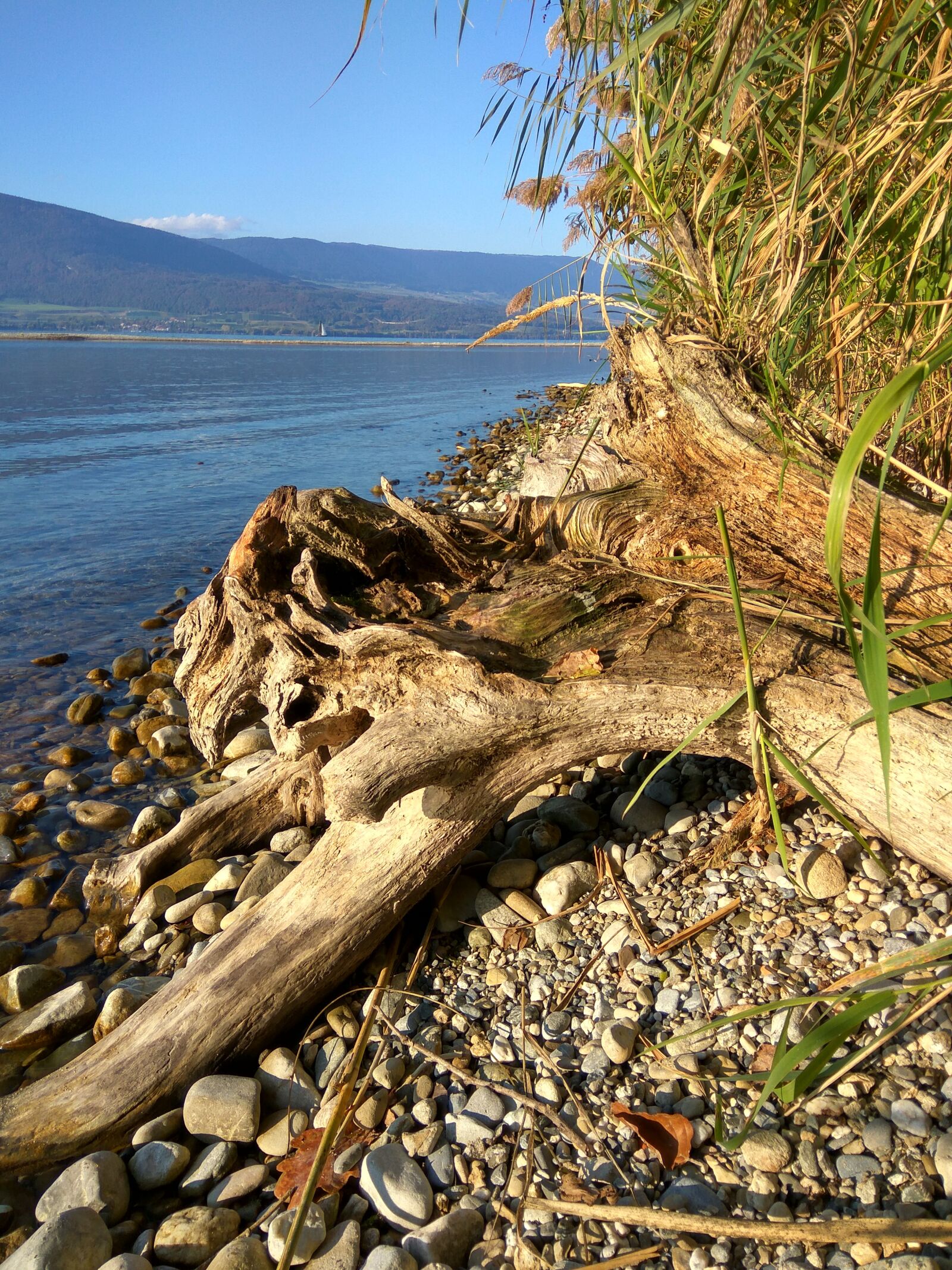 Xiaomi Redmi Note 3 sample photo. Brine, neuchatel, switzerland photography