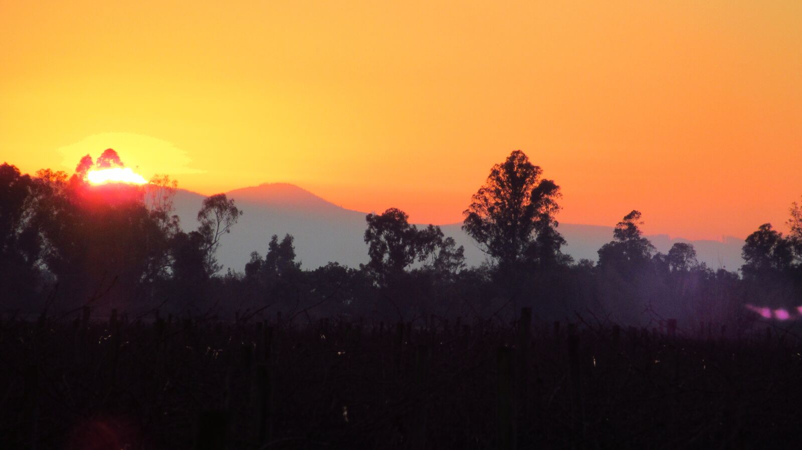 Canon PowerShot SX620 HS sample photo. Sunset, landscape, sun photography