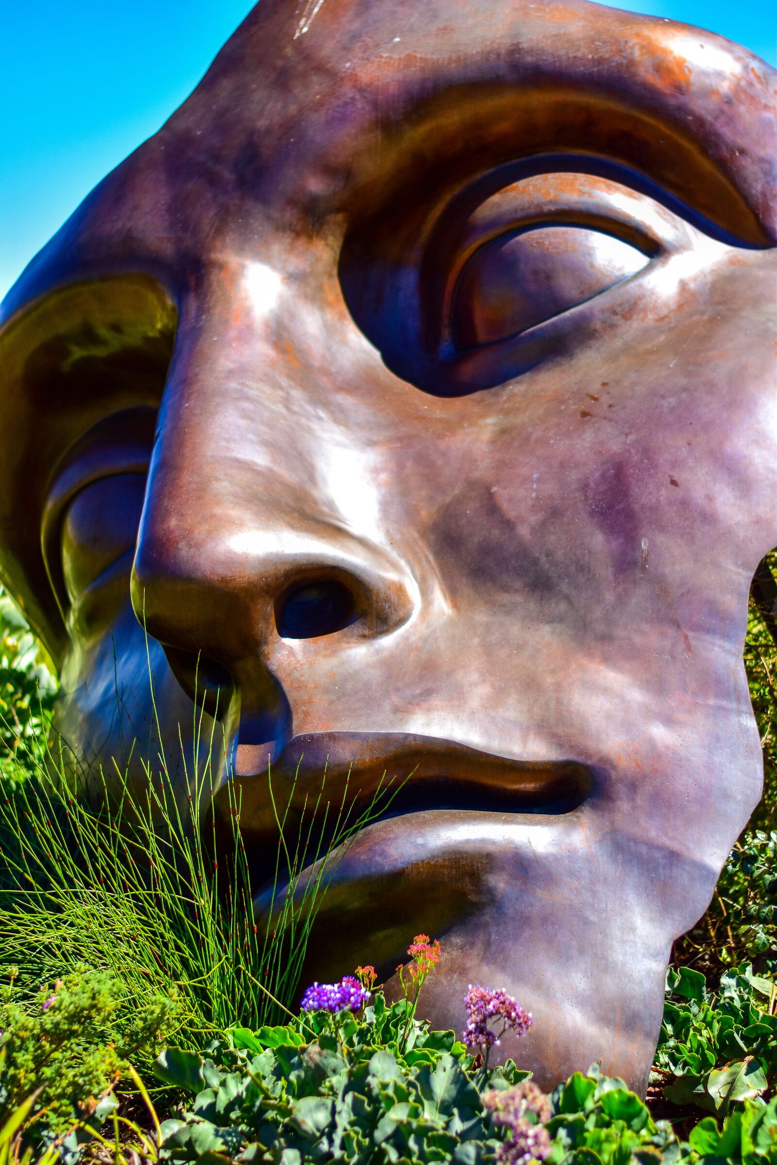 Nikon D5500 sample photo. Face, art, nature photography