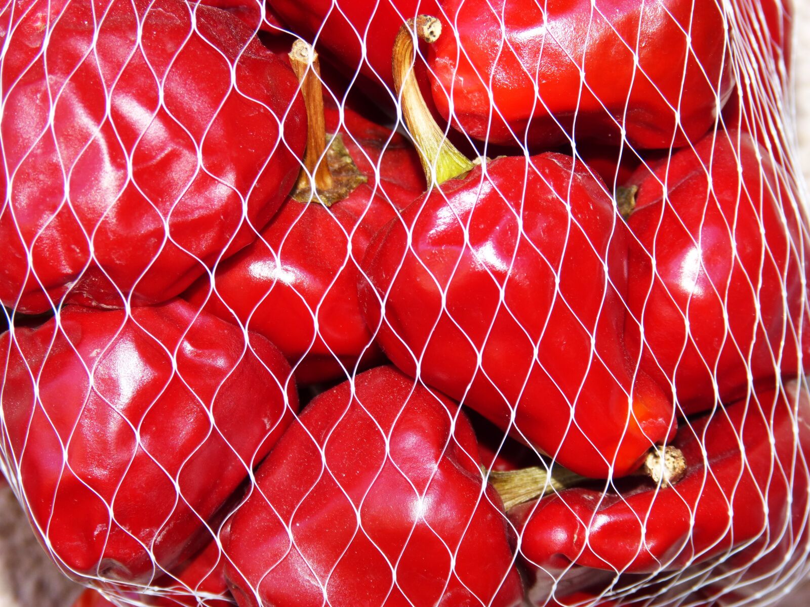 Panasonic DMC-FZ62 sample photo. Peppers, noras, red photography
