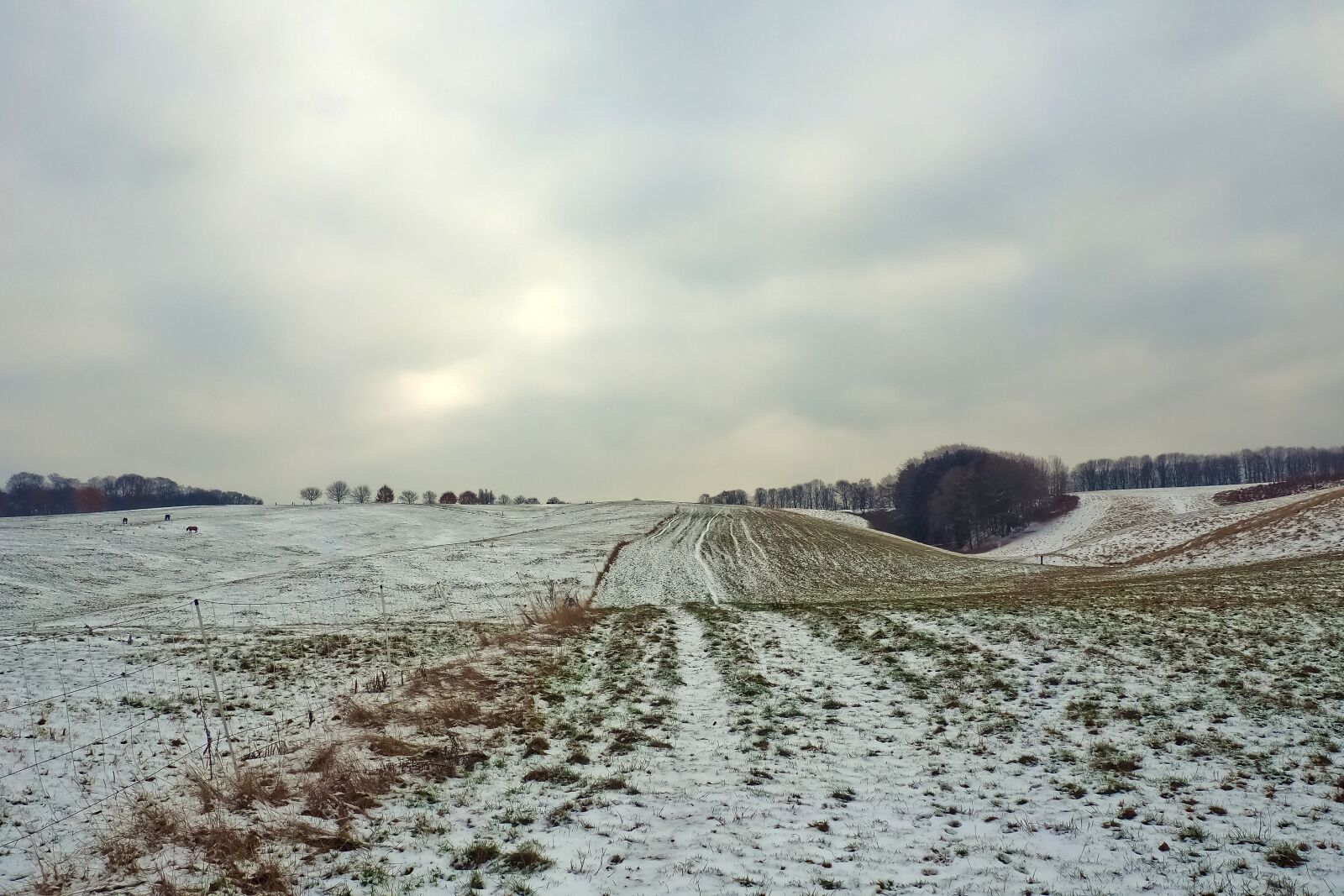 Olympus OM-D E-M10 sample photo. Landscape, wide, nature photography