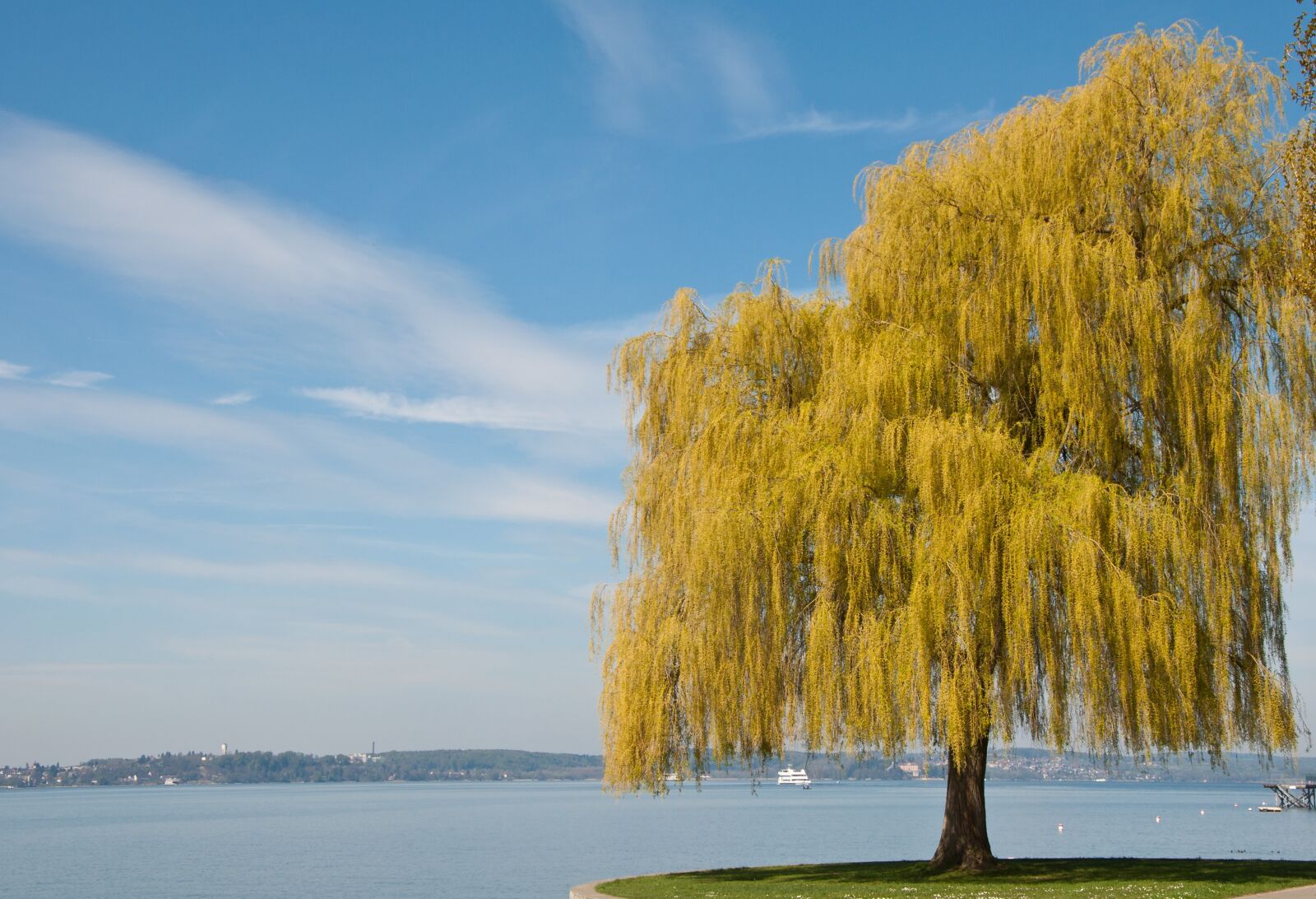 Nikon D90 sample photo. Lake constance, spring, tree photography
