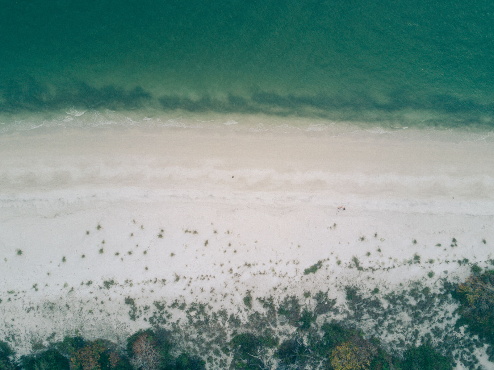 DJI FC220 sample photo. Aerial, beach, bird, s photography