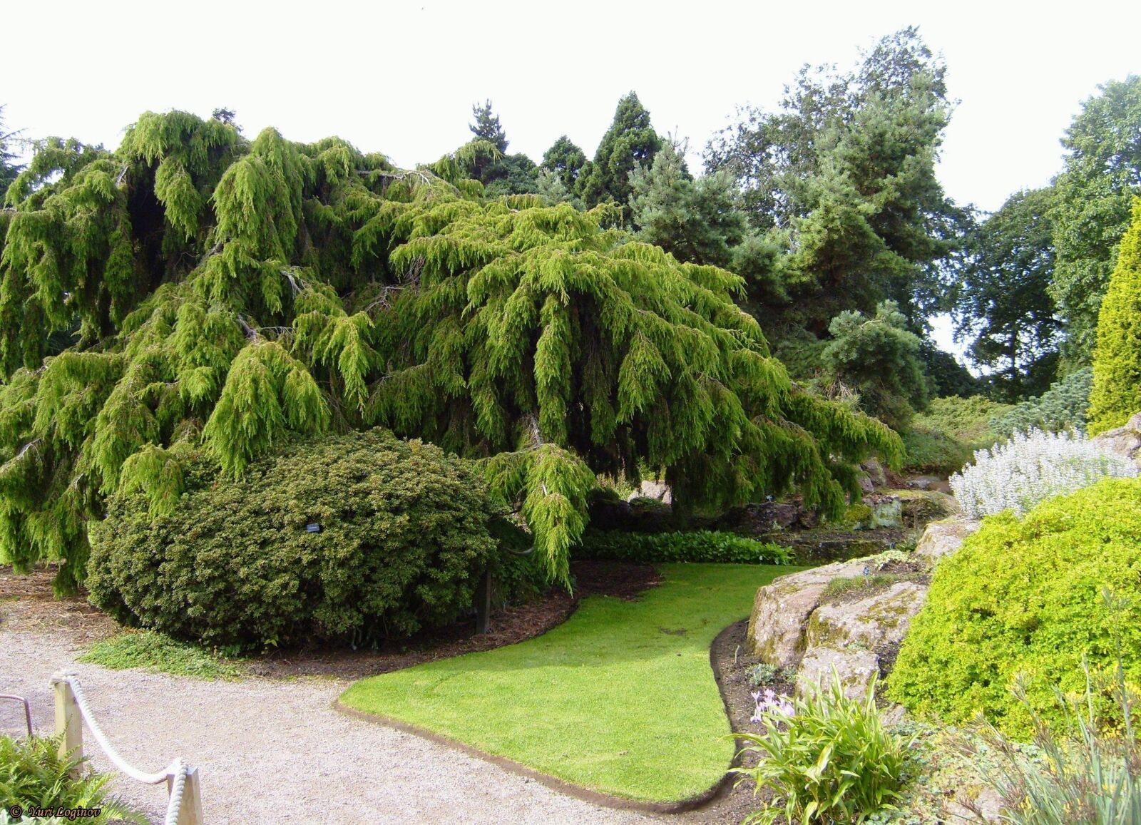Samsung Digimax S700 / Kenox S700 / Digimax Cyber 730 sample photo. Edinburgh, royal, botanic, garden photography