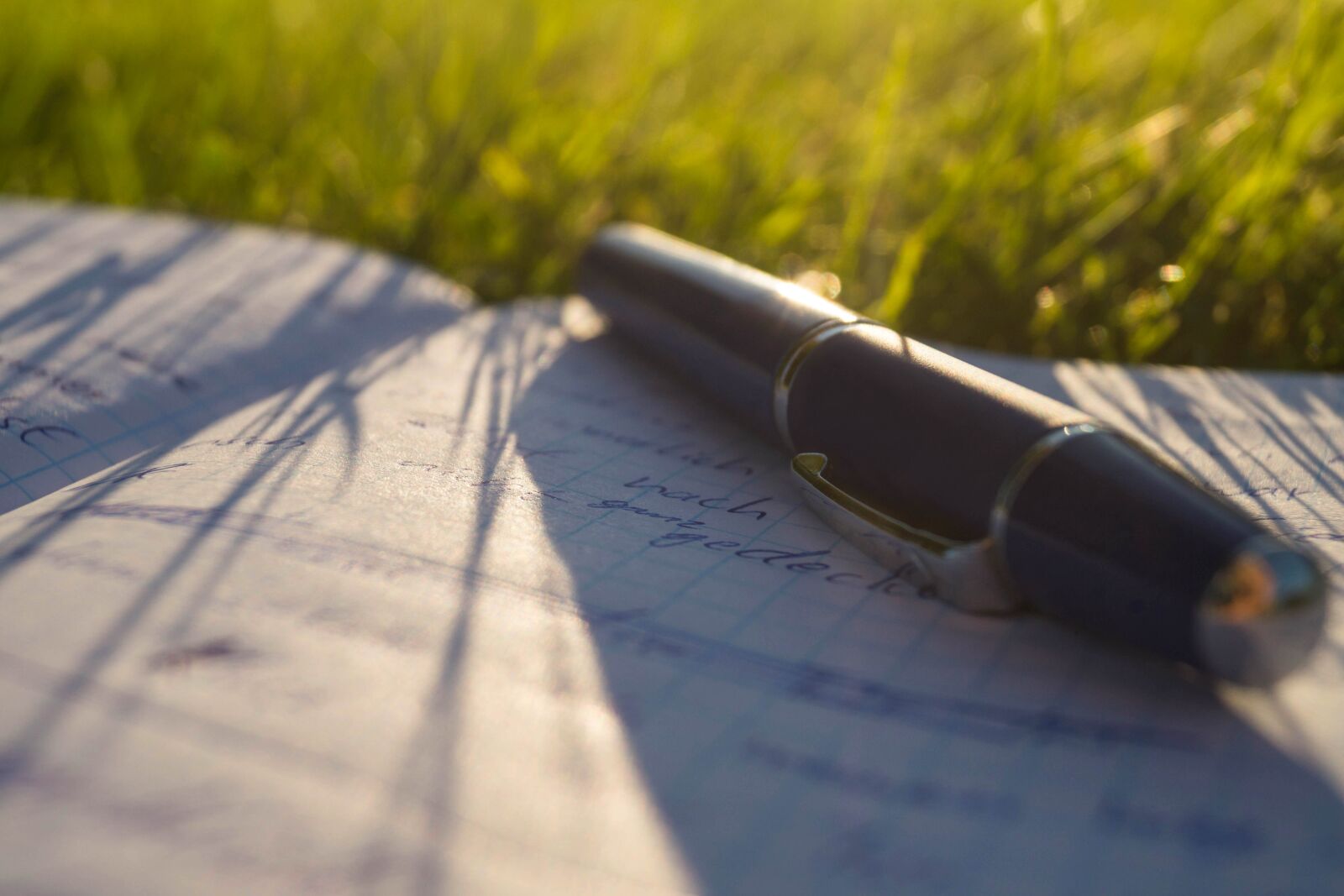 Sony SLT-A65 (SLT-A65V) + Sony DT 18-55mm F3.5-5.6 SAM sample photo. Pencil, paper, grass photography