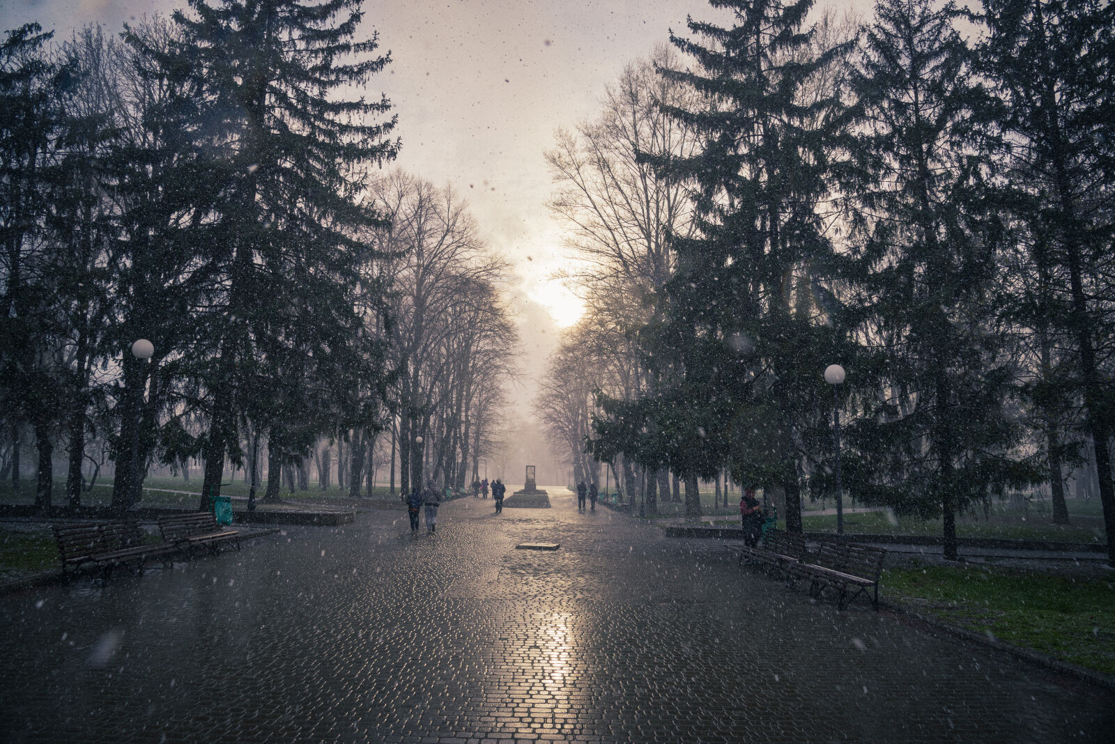 Nikon D750 sample photo