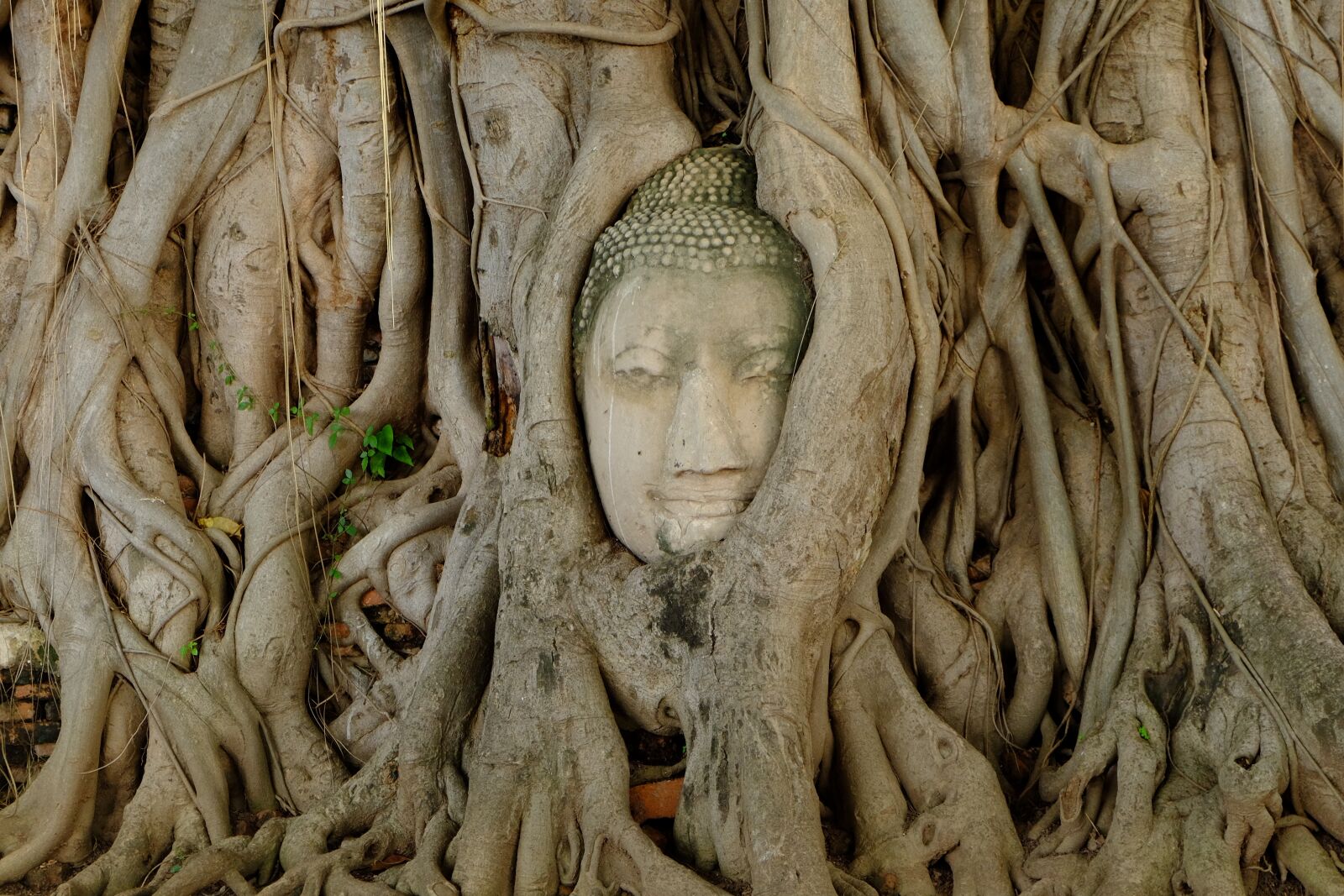 Fujifilm X-E2 sample photo. Temple, thailand, thai photography