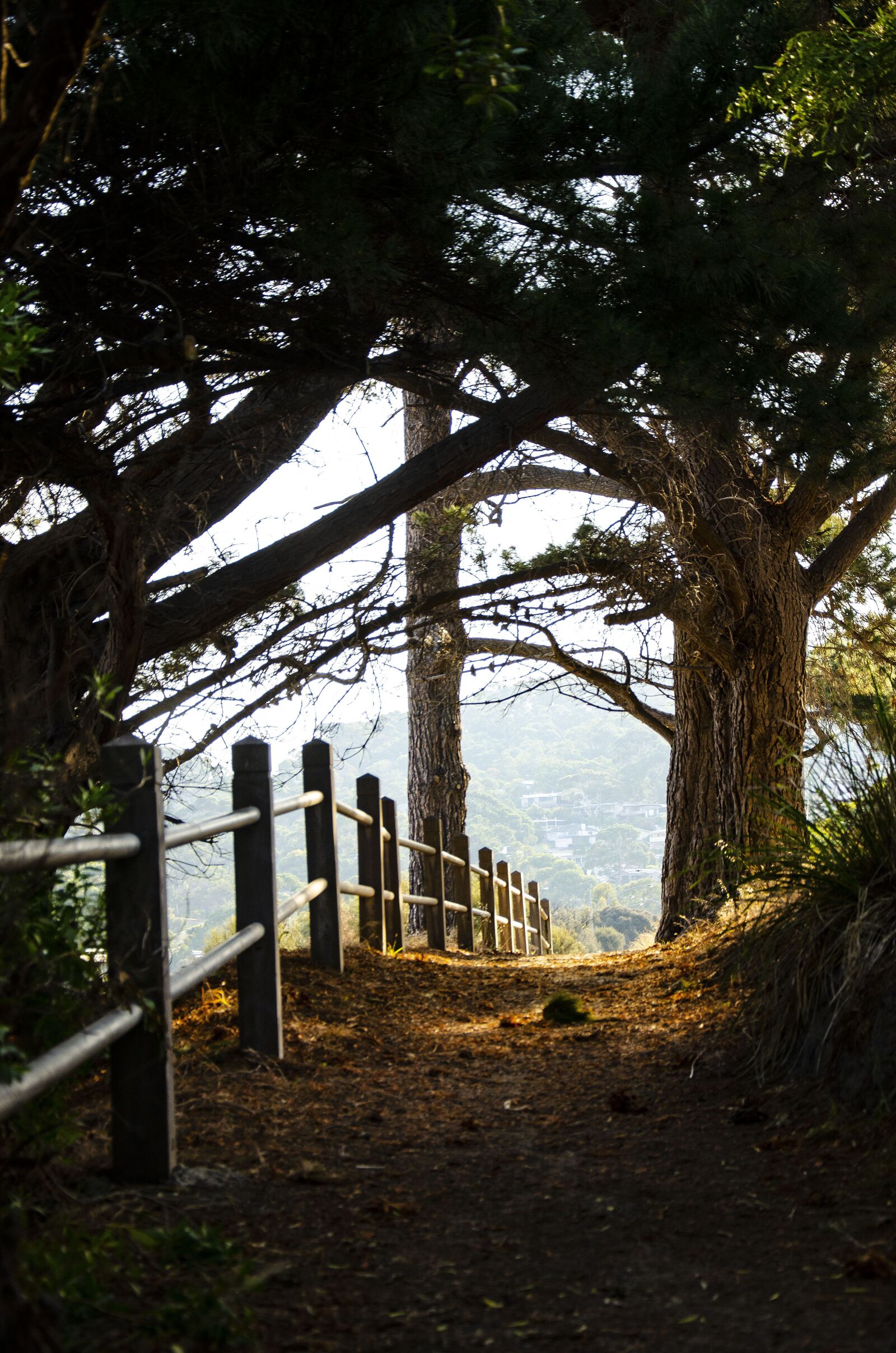 Nikon D7000 sample photo. Pathway, lorne, australia photography