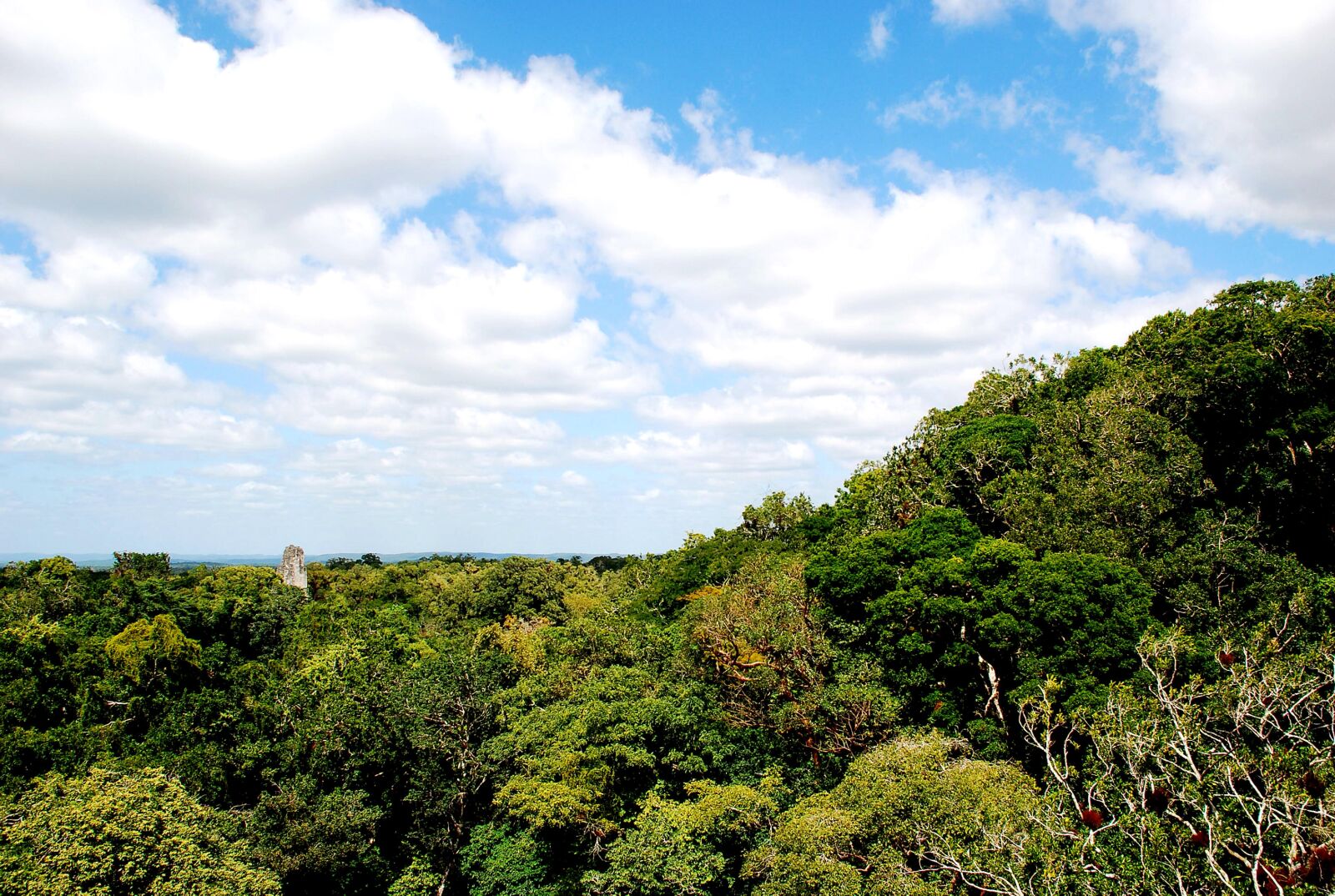 Nikon D80 sample photo. Guatemalan, government, established, maya photography