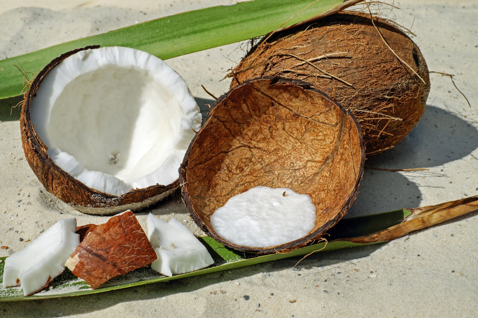 Fujifilm X-T10 + Fujifilm XF 35mm F1.4 R sample photo. Coconut, nut, shell photography