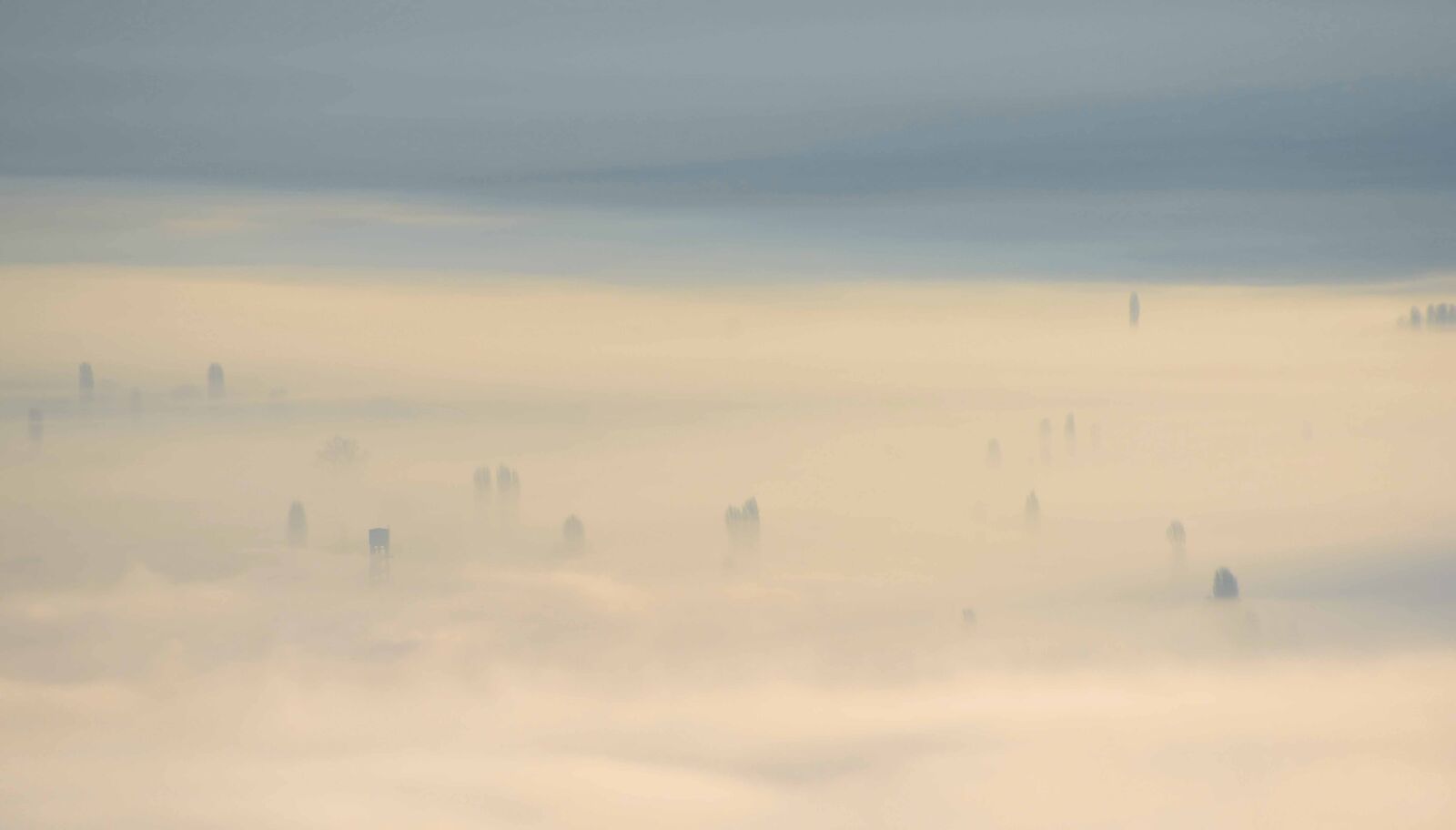 Nikon D750 sample photo. Mist, fog, lake photography