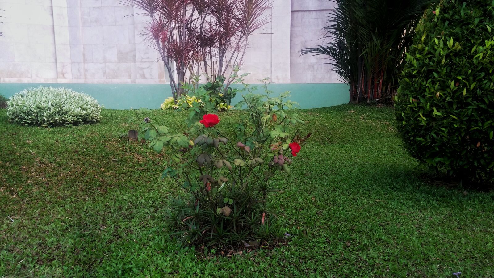LG G2 sample photo