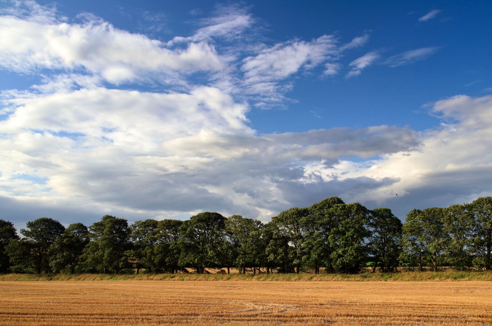 Canon EOS 80D sample photo. Autumn, fields, harvest photography