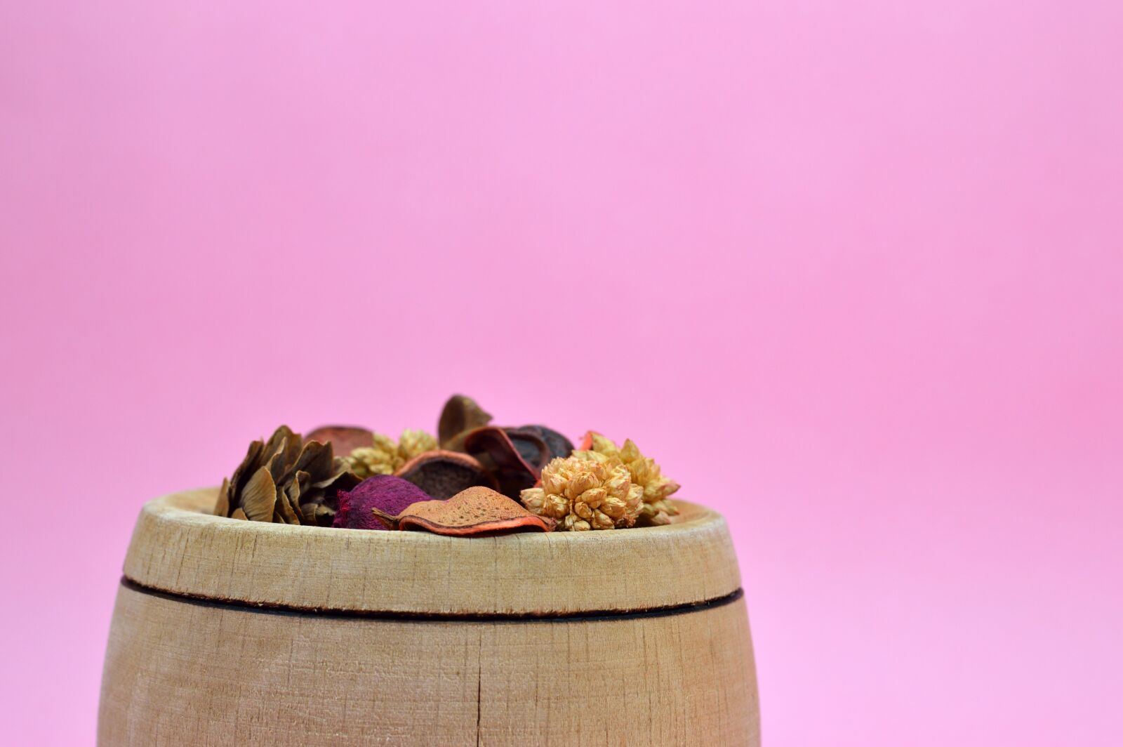 Nikon D3200 sample photo. Potpourri, dry, dehydrated photography