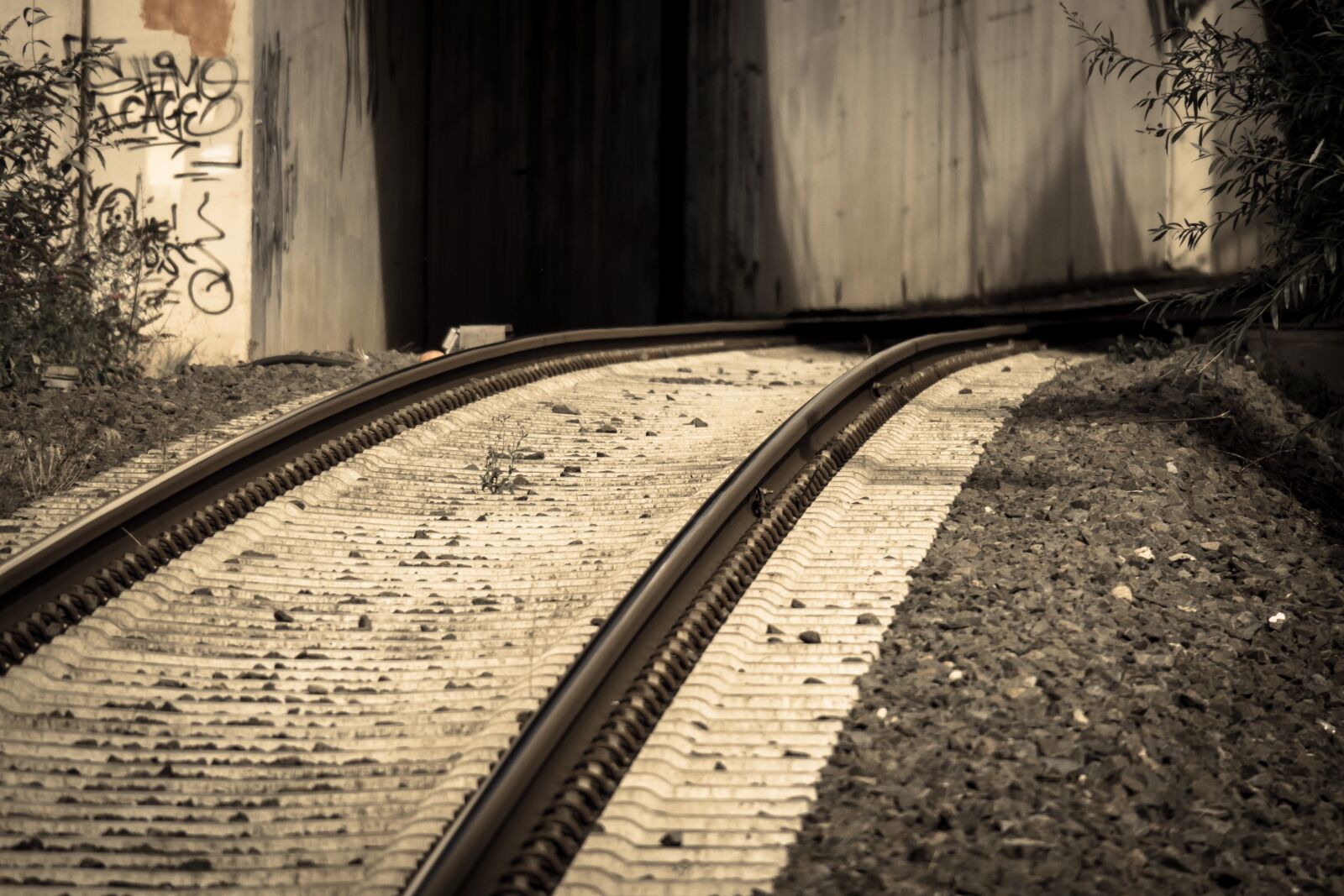 Canon PowerShot G3 X sample photo. Rails, gleise, away photography