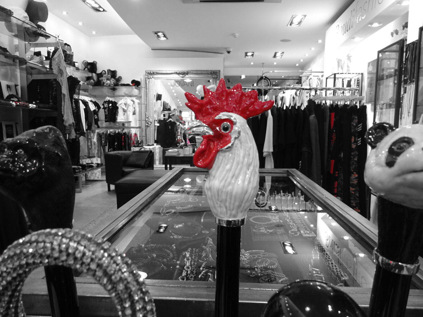 Sony Cyber-shot DSC-WX220 sample photo. Black, white, boutique, chicken photography