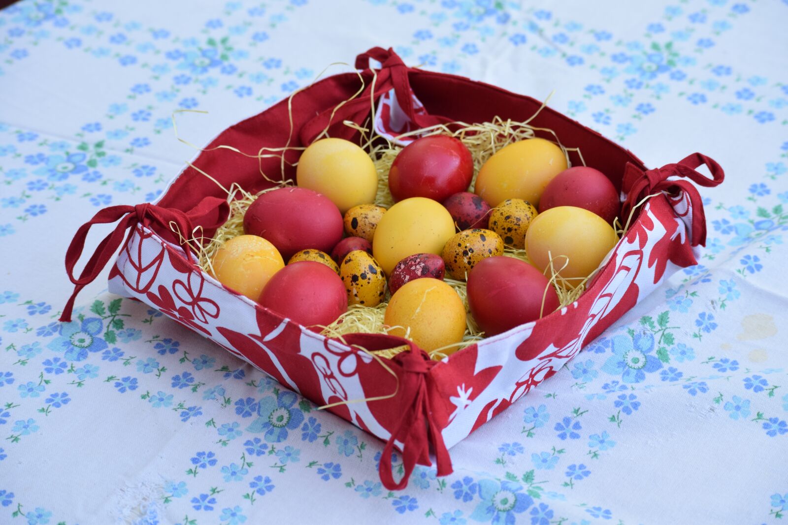 Nikon D3300 sample photo. Celebration, season, food photography