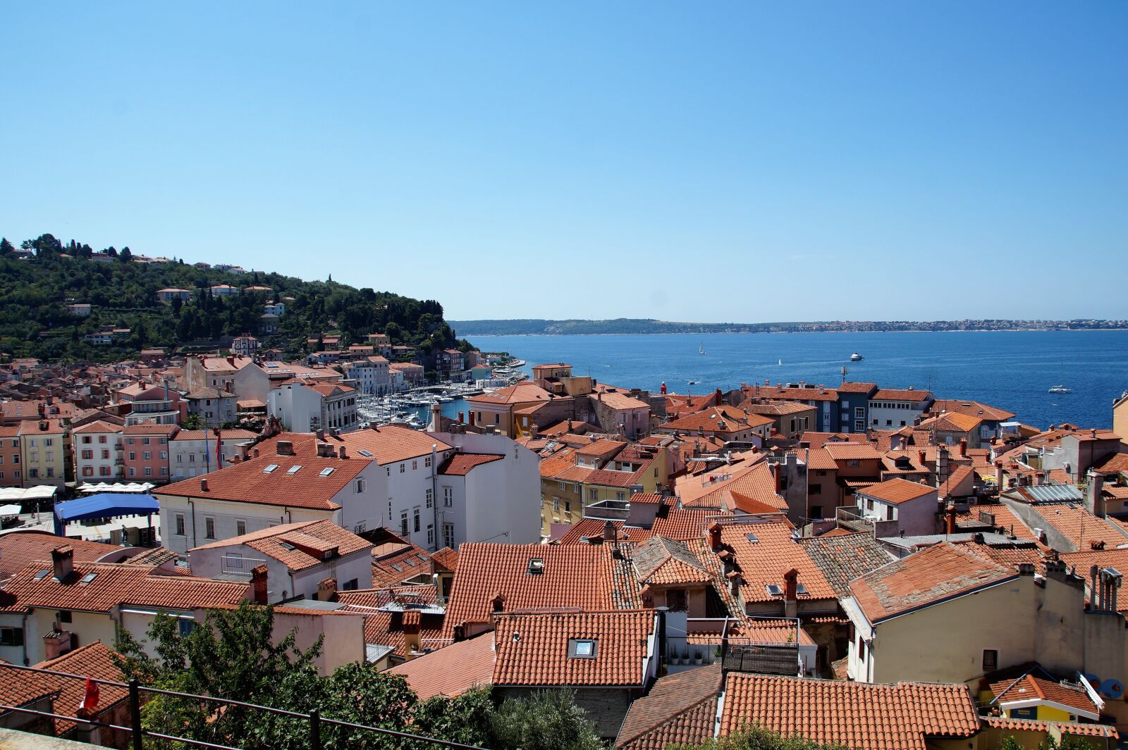 Sony SLT-A58 sample photo. The city of piran photography